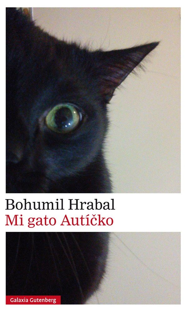 MI GATO AUTÍCKO. 