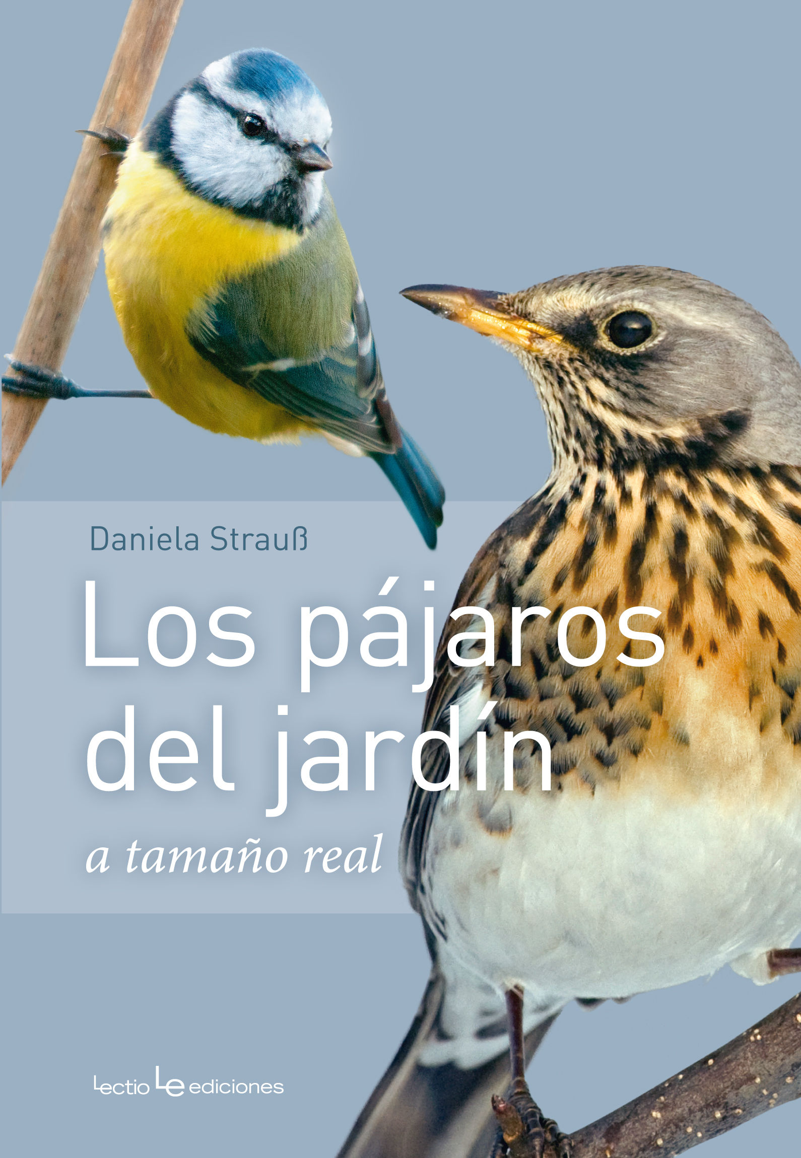 LOS PÁJAROS DEL JARDÍN. A TAMAÑO NATURAL