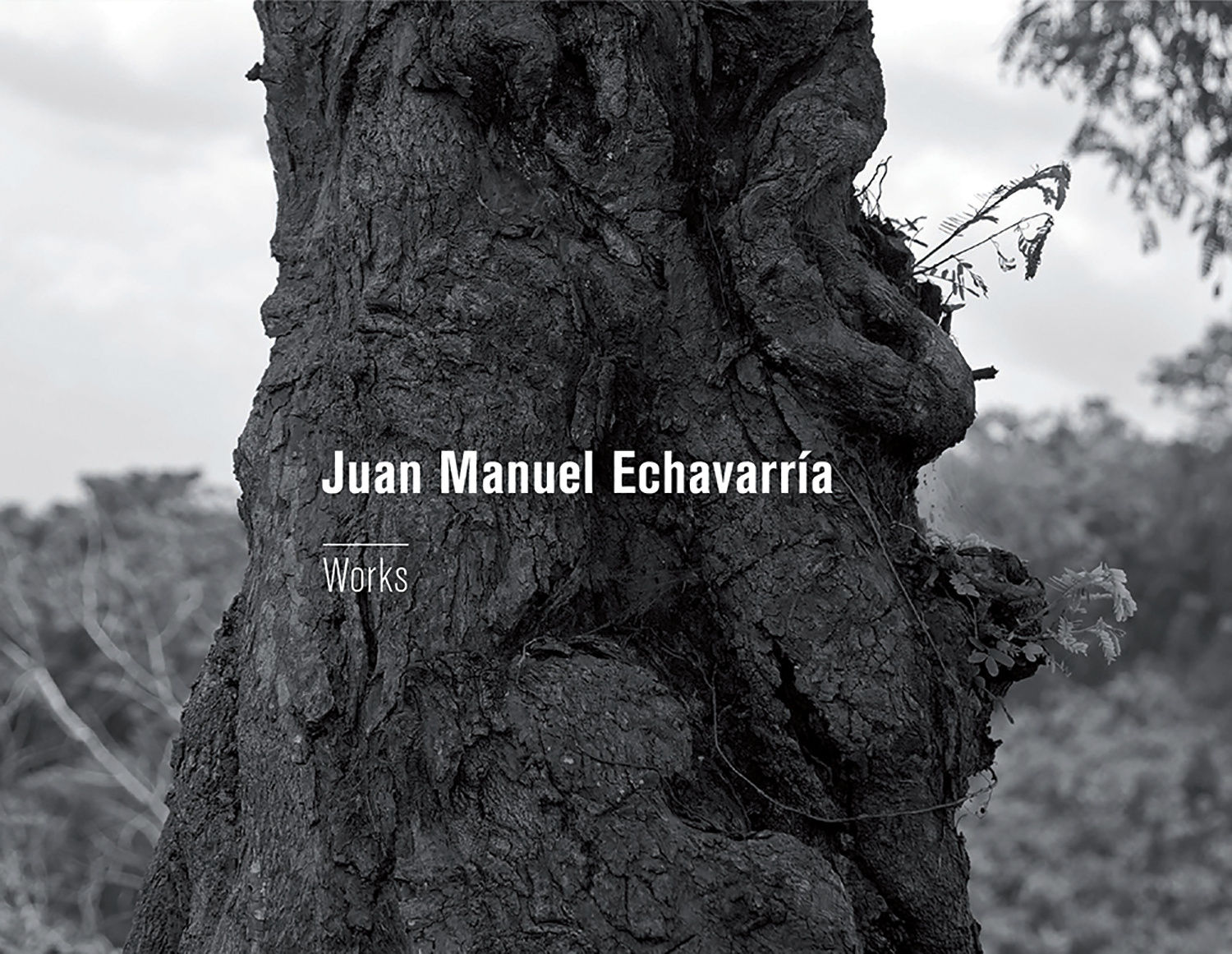 JUAN MANUEL ECHAVARRÍA. WORKS