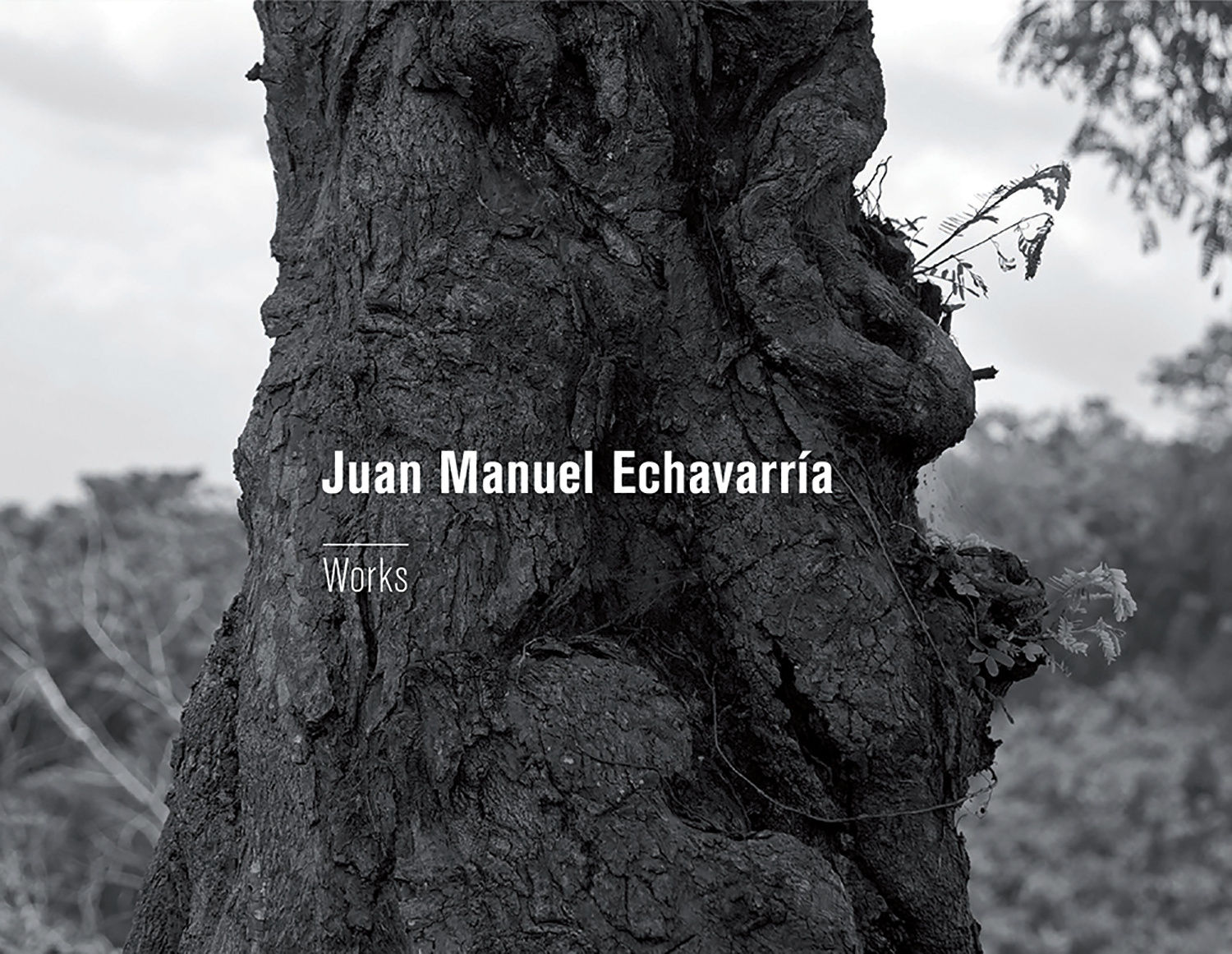 JUAN MANUEL ECHAVARRÍA. WORKS. 