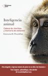 INTELIGENCIA ANIMAL. CABEZA DE CHORLITOS Y MEMORIA DE ELEFANTES