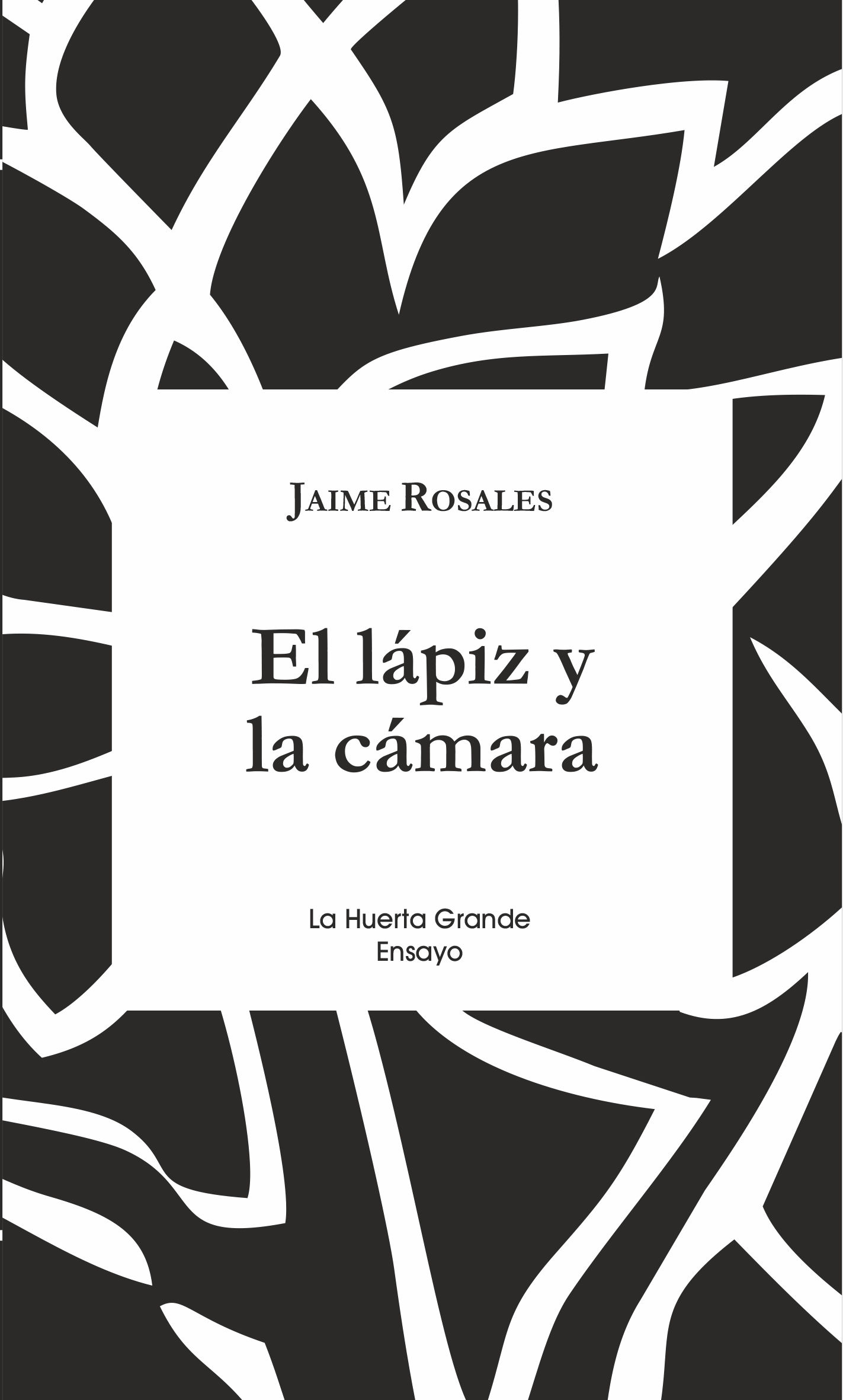 EL LÁPIZ Y LA CÁMARA. 