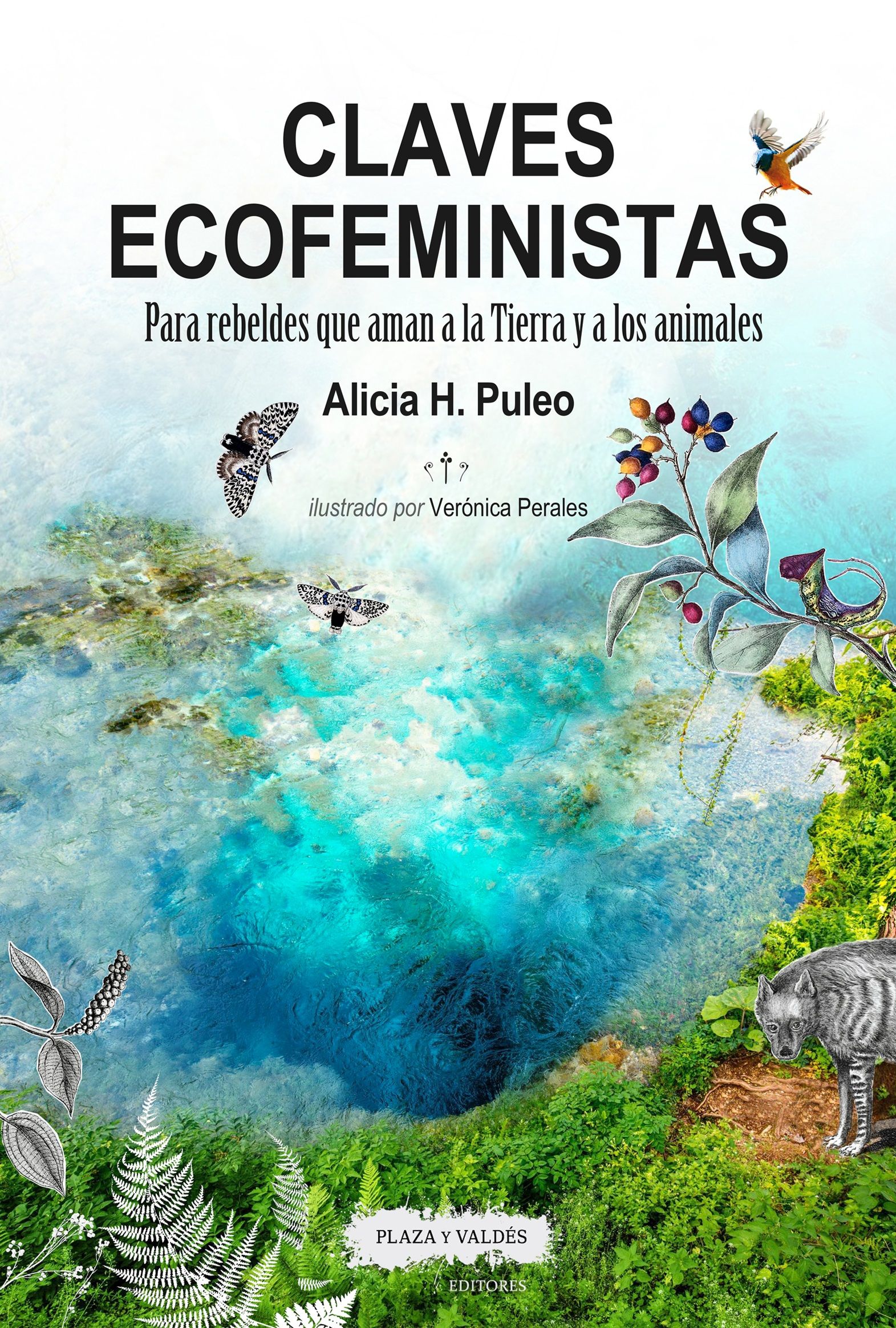 CLAVES ECOFEMINISTAS