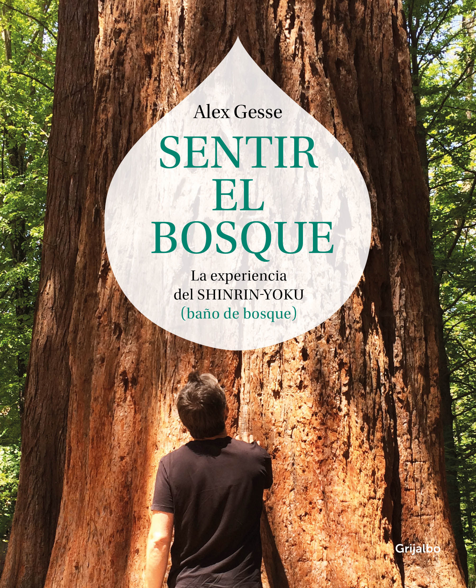 SENTIR EL BOSQUE. LA EXPERIENCIA DEL SHINRIN-YOKU (BAÑO DE BOSQUE)