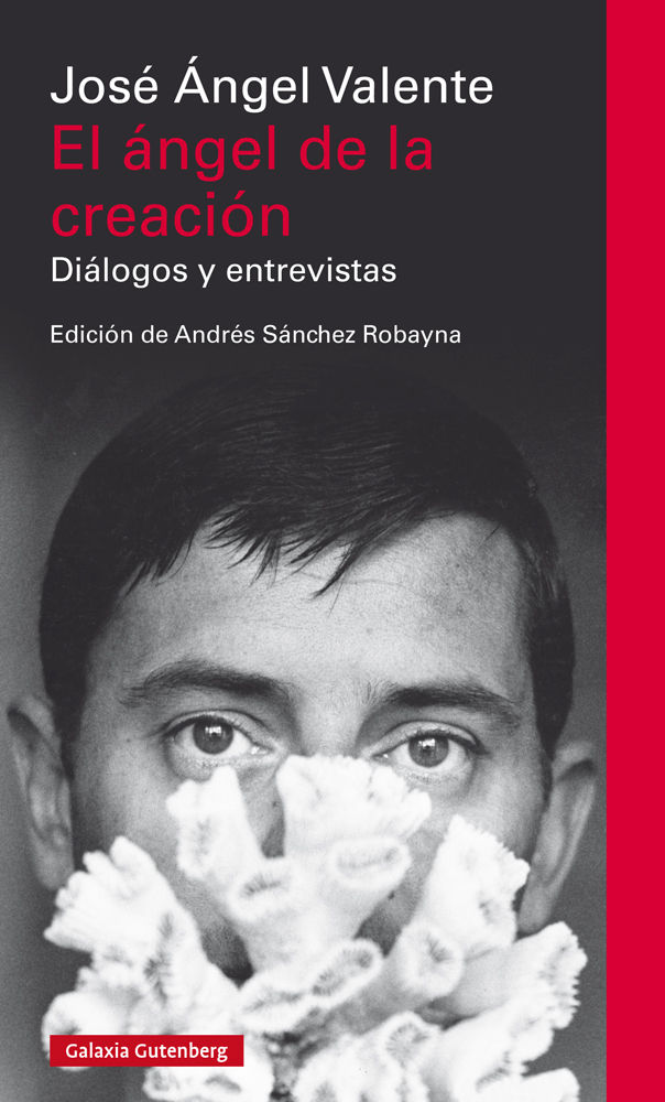 EL ÁNGEL DE LA CREACIÓN. DIÁLOGOS Y ENTREVISTAS