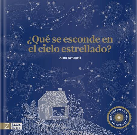 ¿QUÉ SE ESCONDE EN EL CIELO ESTRELLADO?. 