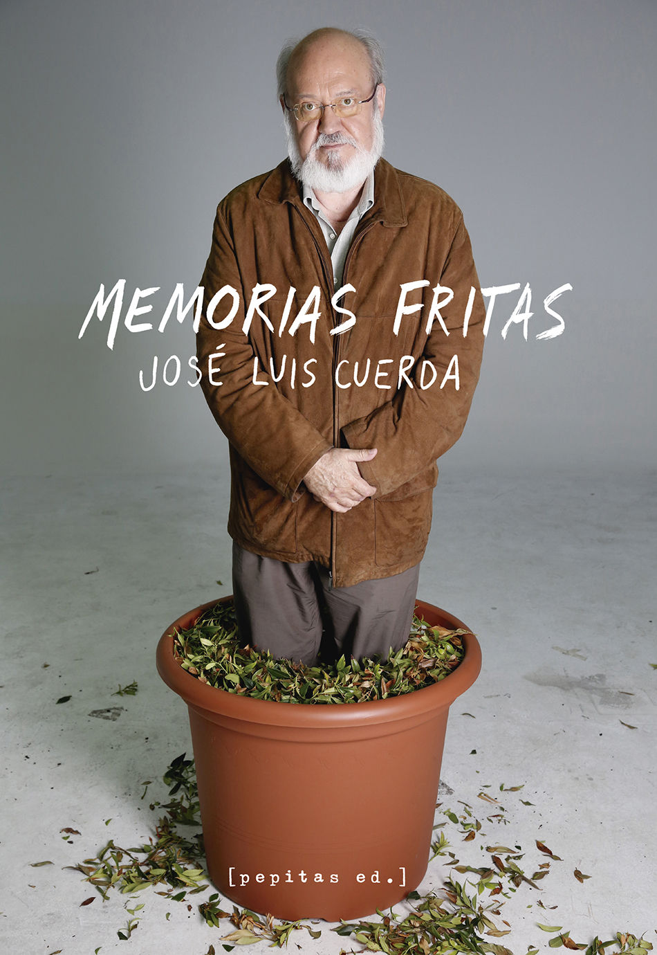 MEMORIAS FRITAS. 