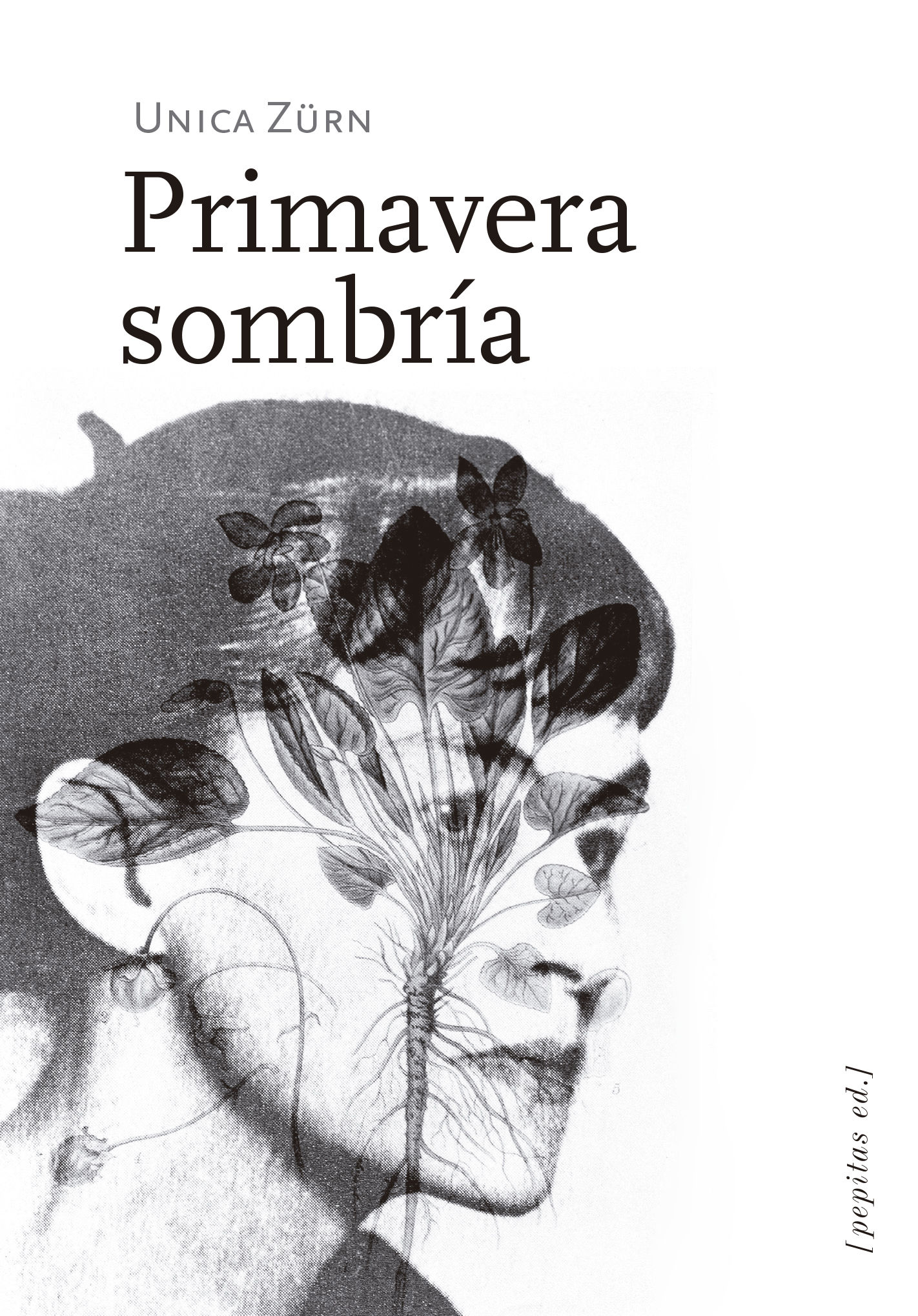 PRIMAVERA SOMBRÍA. 