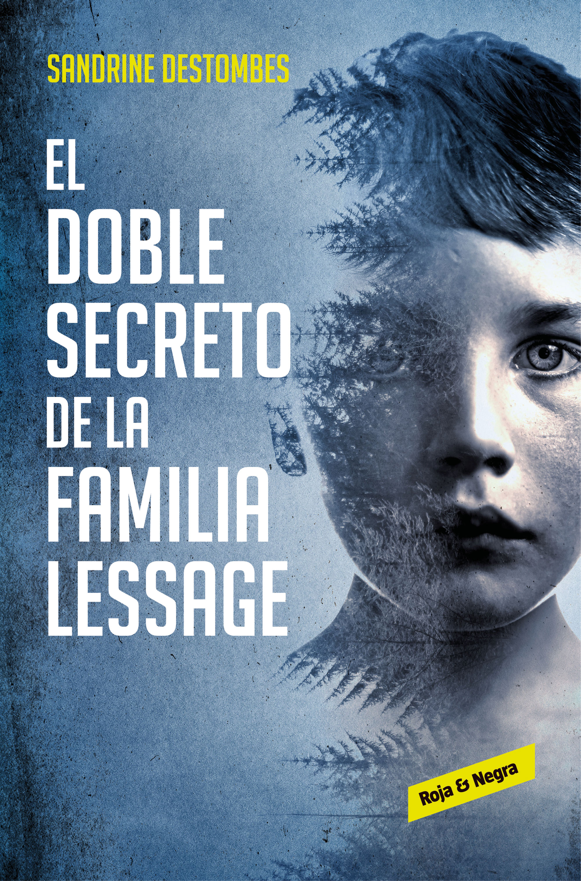 EL DOBLE SECRETO DE LA FAMILIA LESSAGE. 