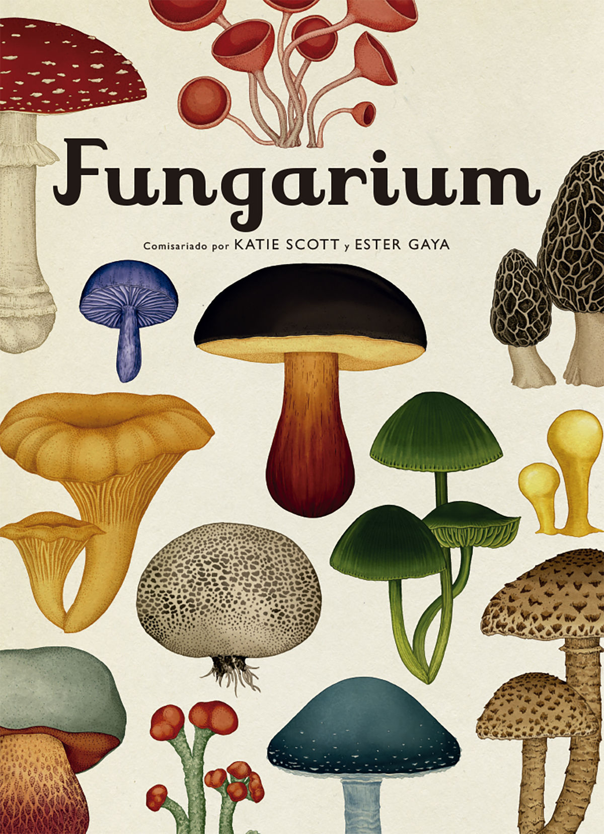 FUNGARIUM. 