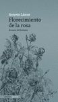 FLORECIMIENTO DE LA ROSA. 