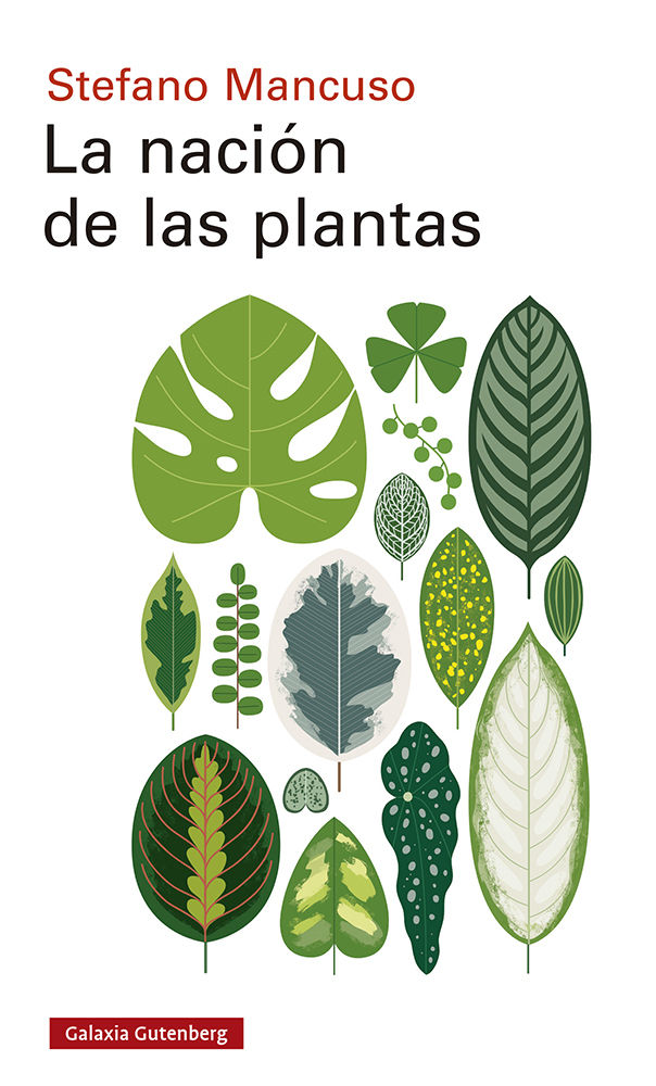 LA NACIÓN DE LAS PLANTAS. 