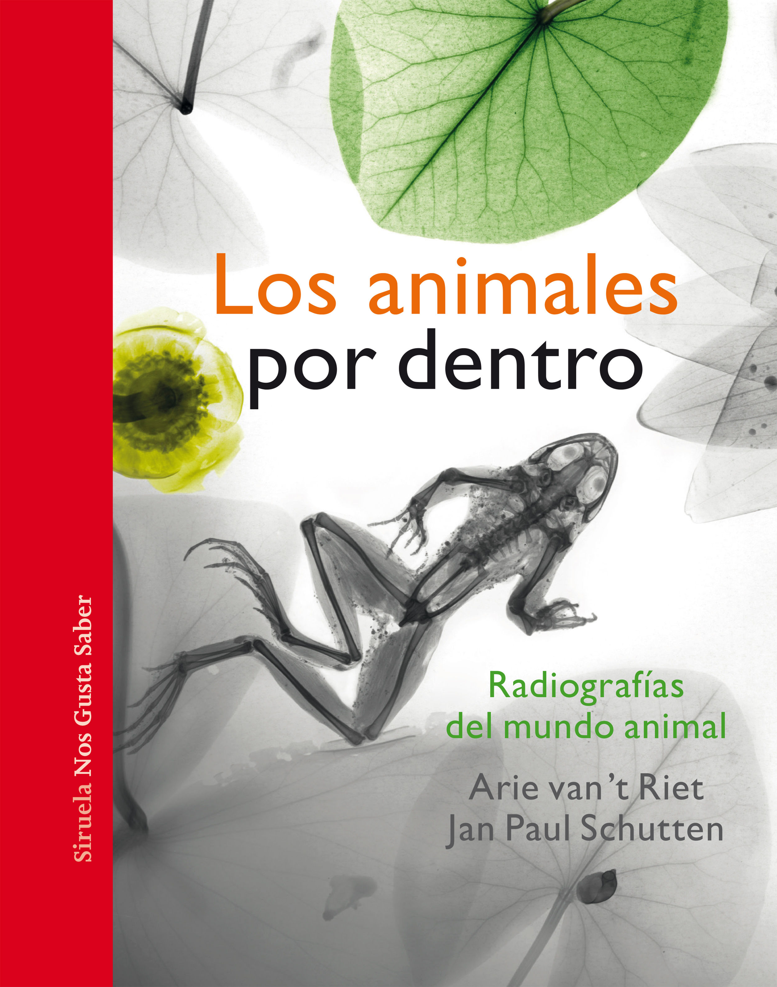 LOS ANIMALES POR DENTRO. 