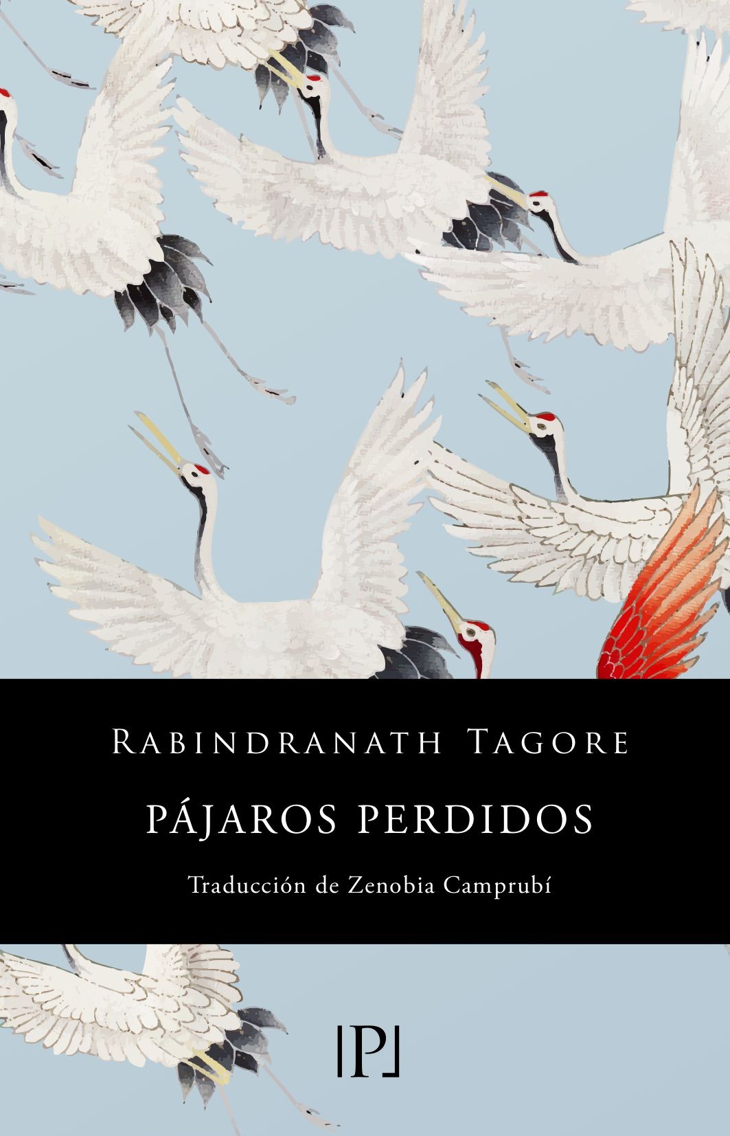 PÁJAROS PERDIDOS