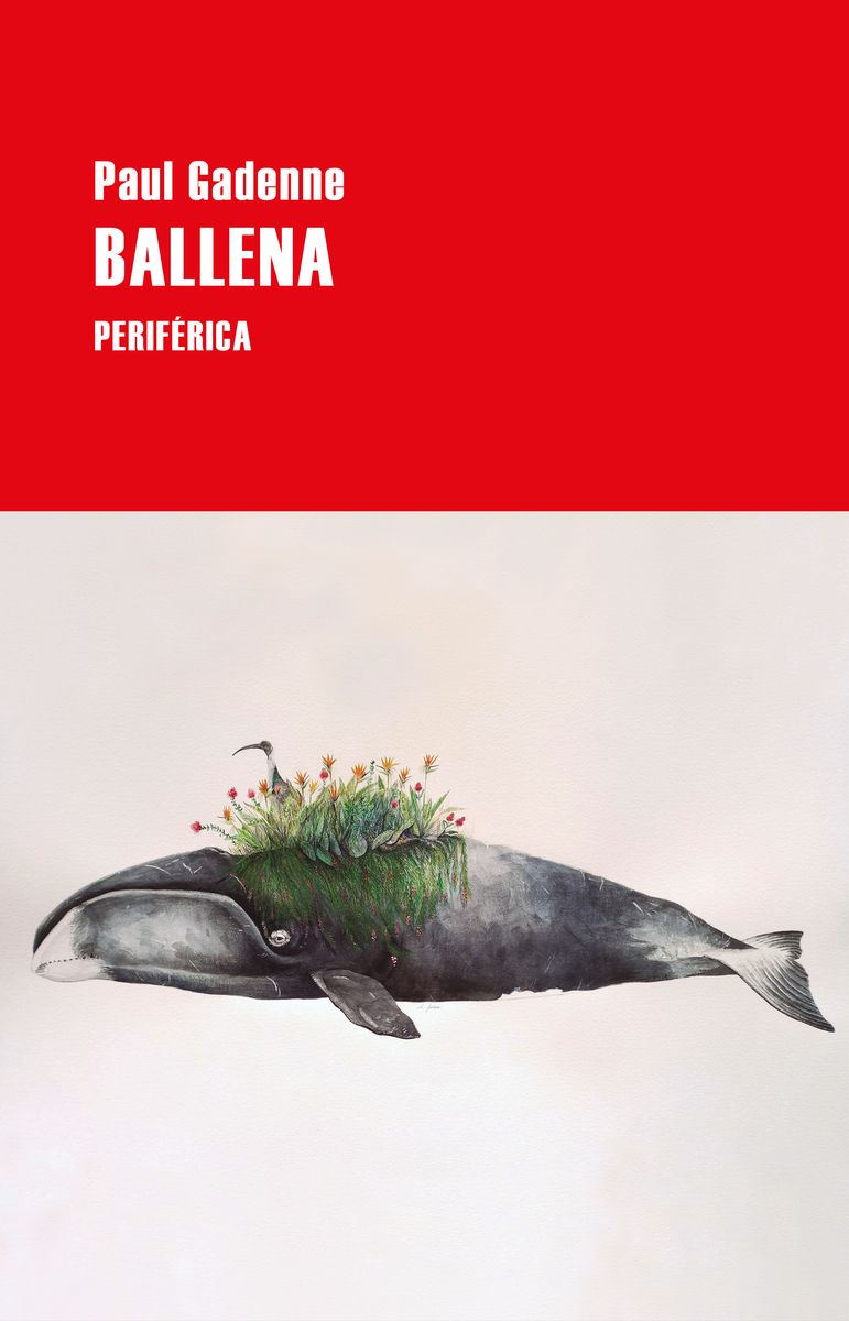 BALLENA. 