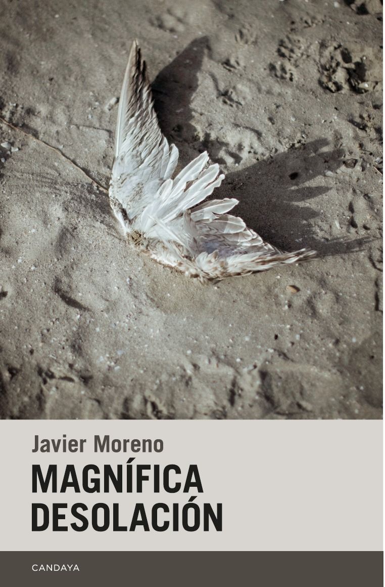 MAGNÍFICA DESOLACIÓN. 