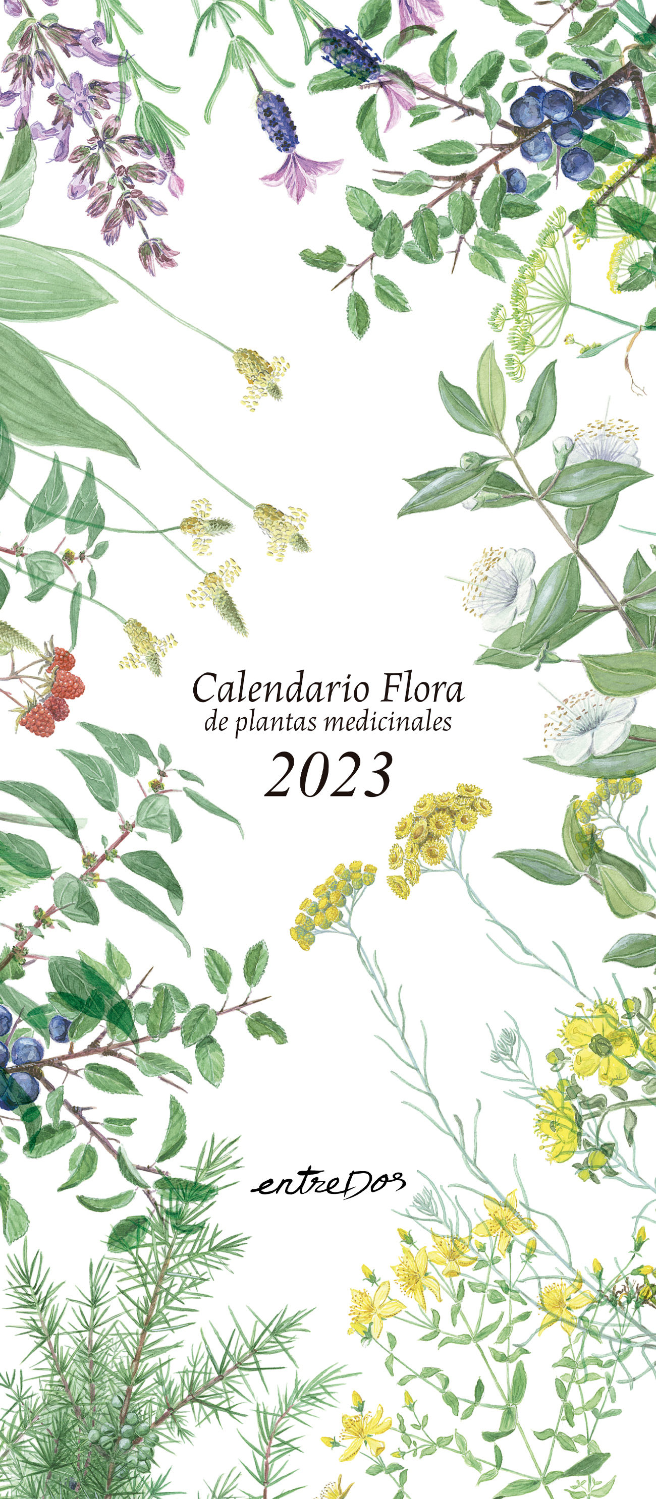 CALENDARIO FLORA 2023 - CASTELLANO. DE PLANTAS MEDICINALES