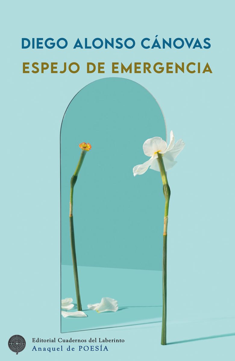 ESPEJO DE EMERGENCIA