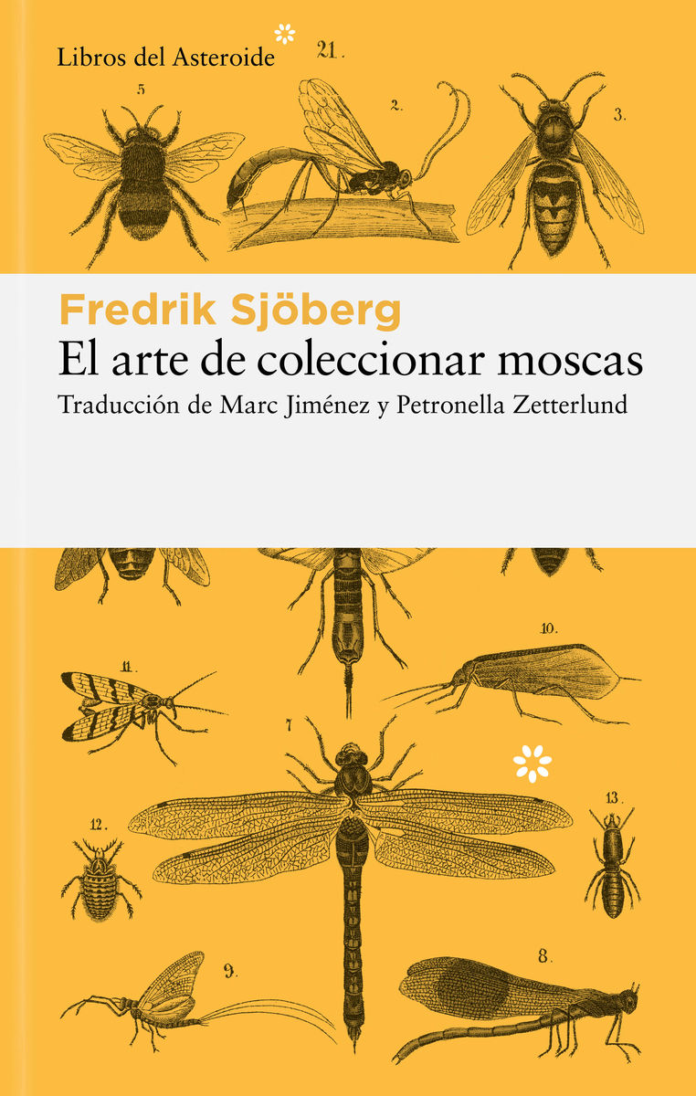 EL ARTE DE COLECCIONAR MOSCAS. 