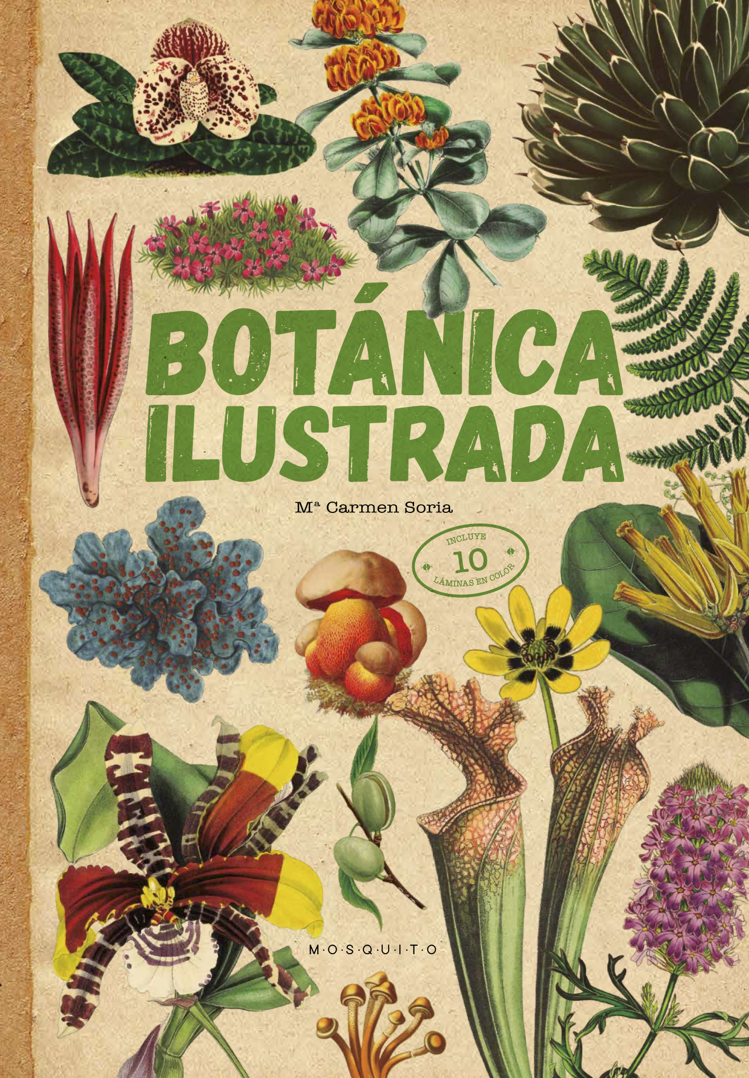 BOTÁNICA ILUSTRADA. 