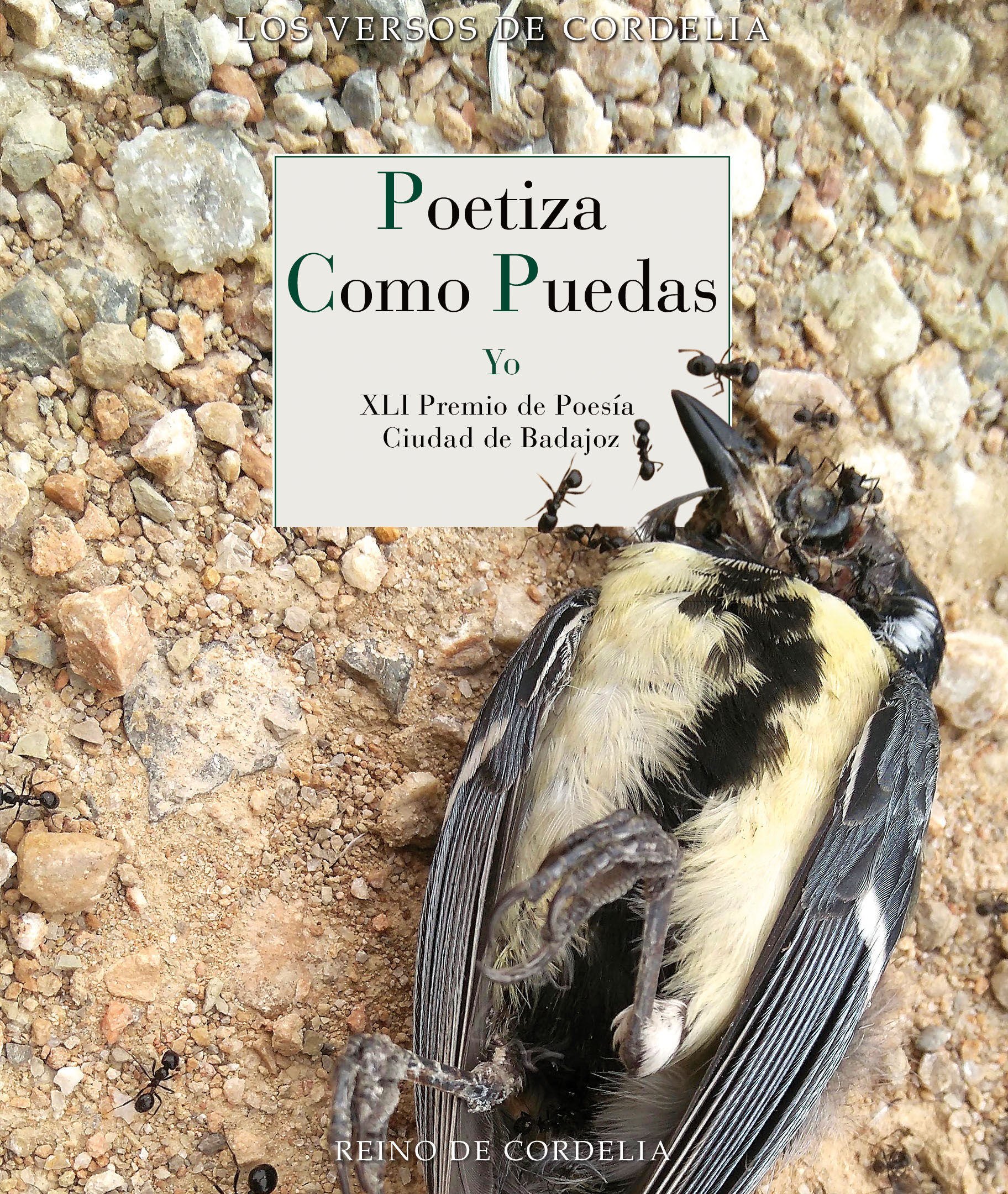 POETIZA COMO PUEDAS. XLI PREMIO DE POESÍA CIUDAD DE BADAJOZ