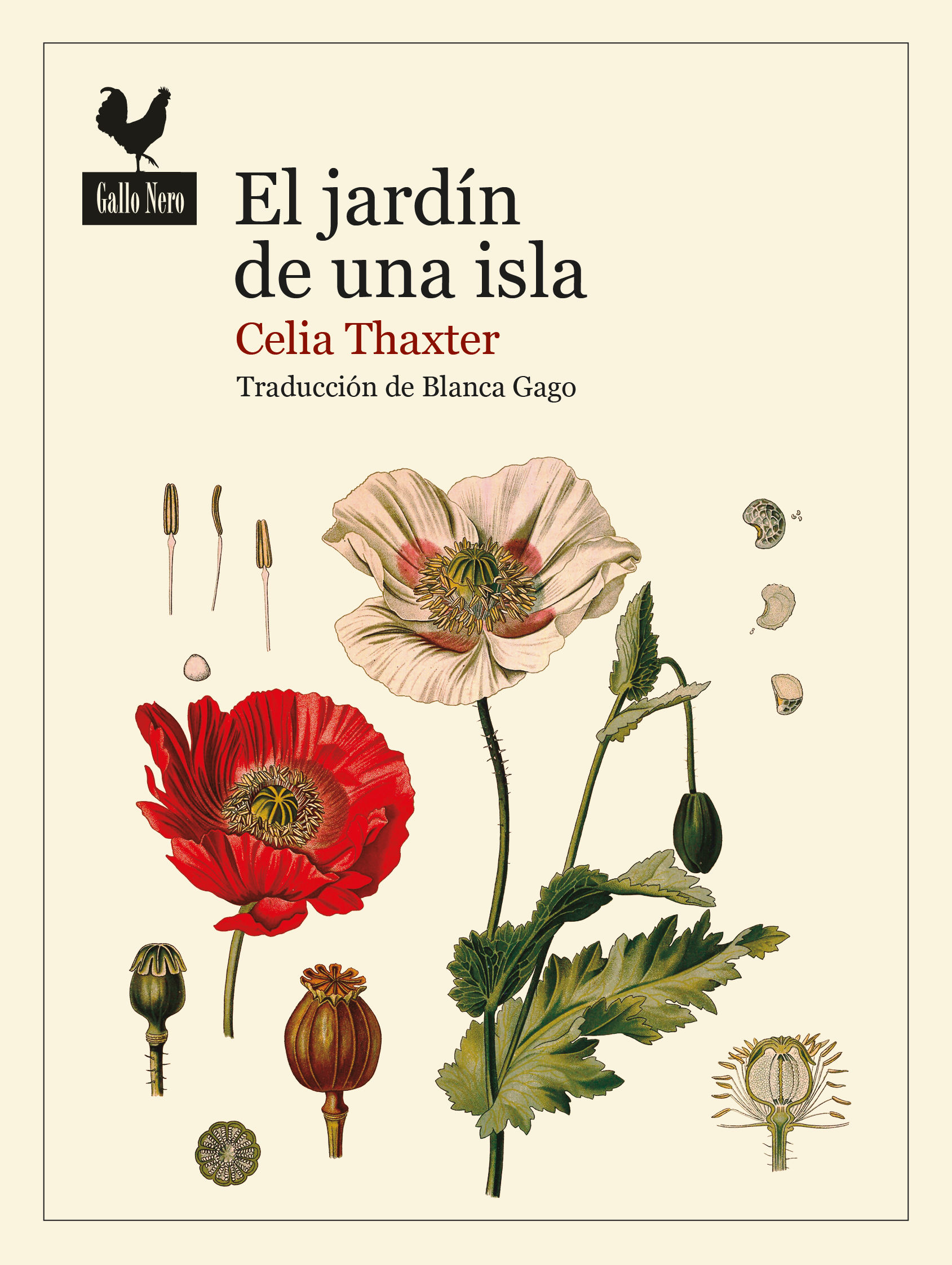 EL JARDÍN DE UNA ISLA. 