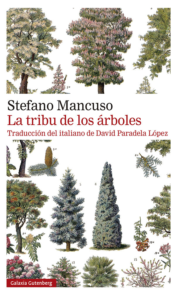 LA TRIBU DE LOS ÁRBOLES. 