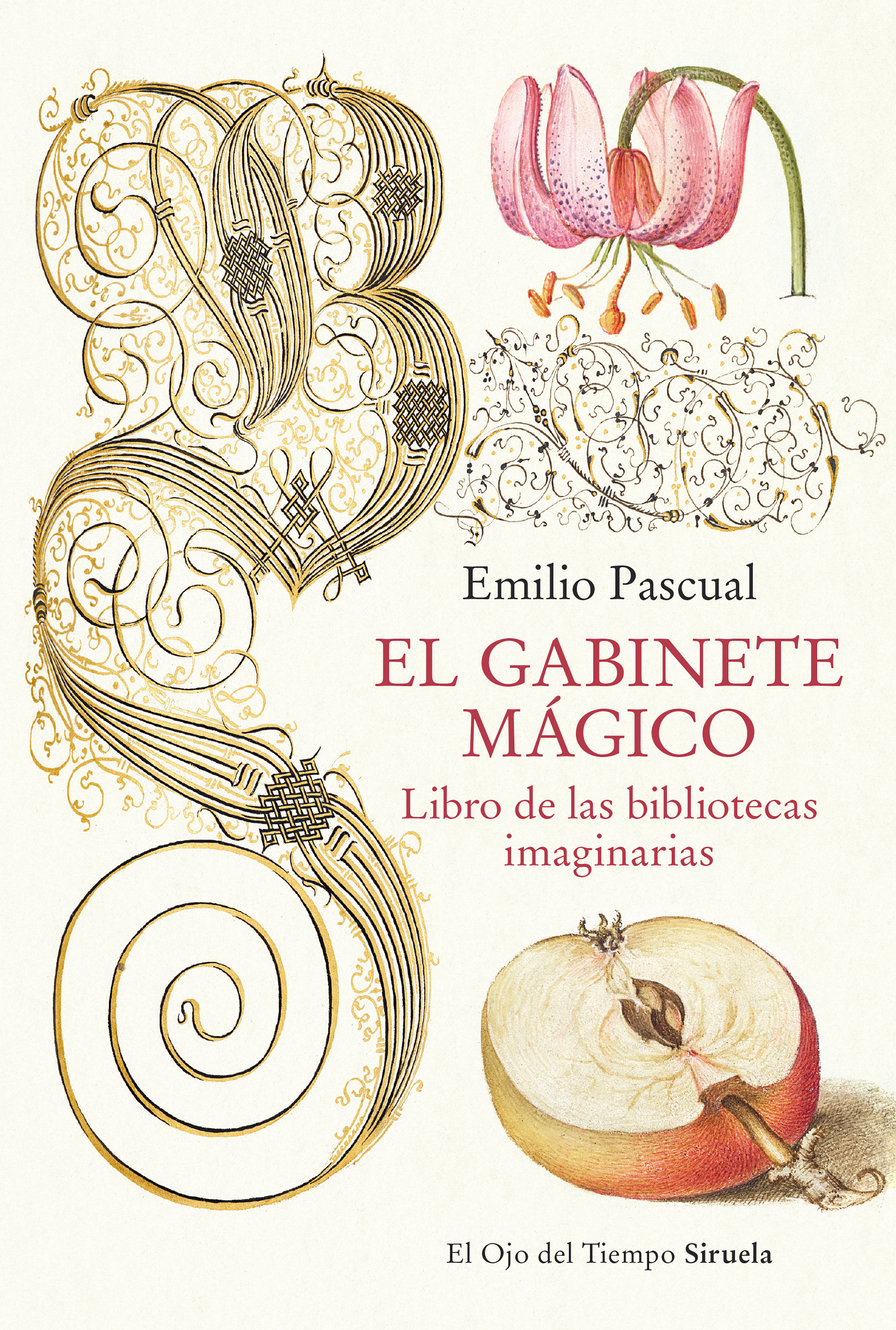 EL GABINETE MÁGICO. LIBRO DE LAS BIBLIOTECAS IMAGINARIAS