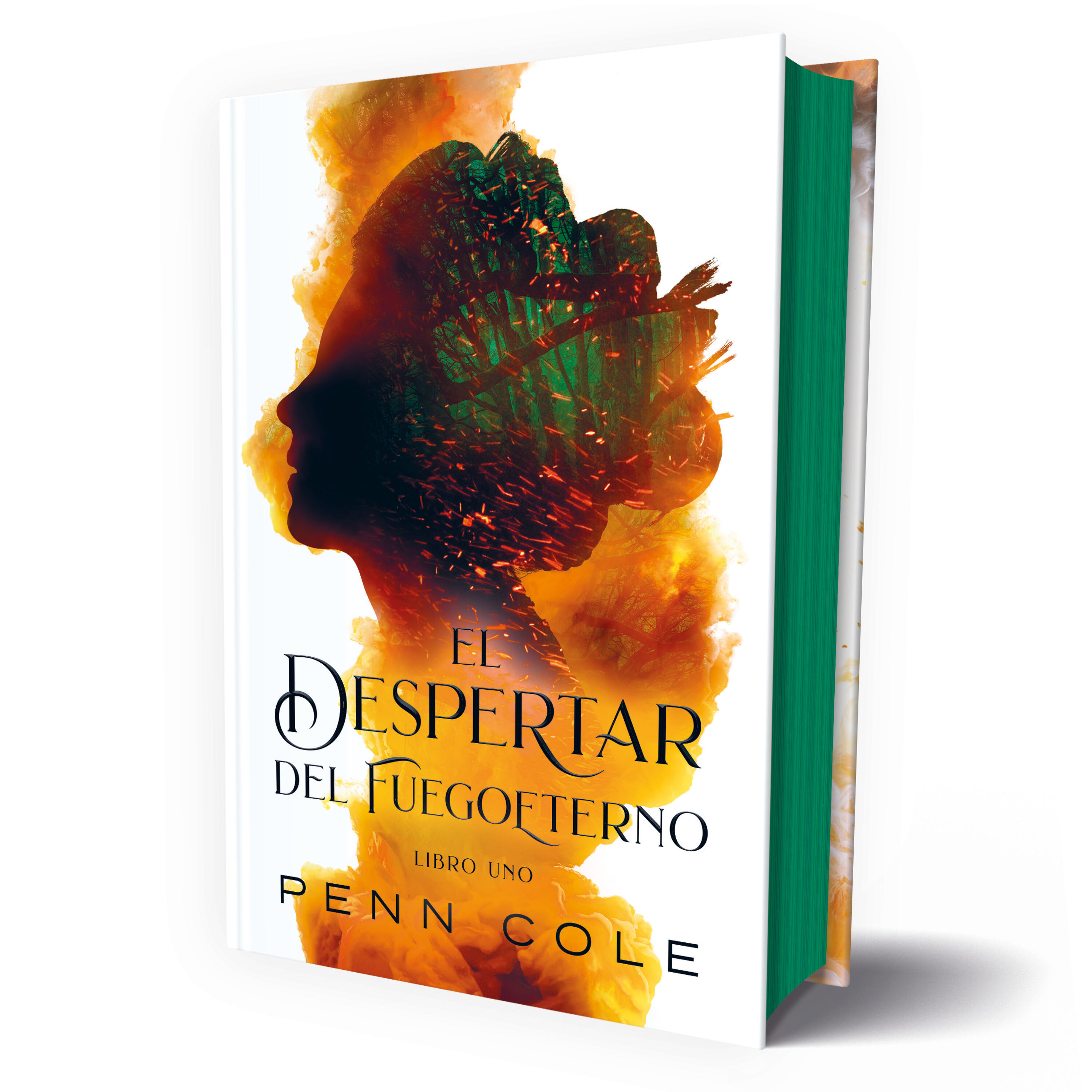 EL DESPERTAR DEL FUEGOETERNO. SAGA FUEGOETERNO 1