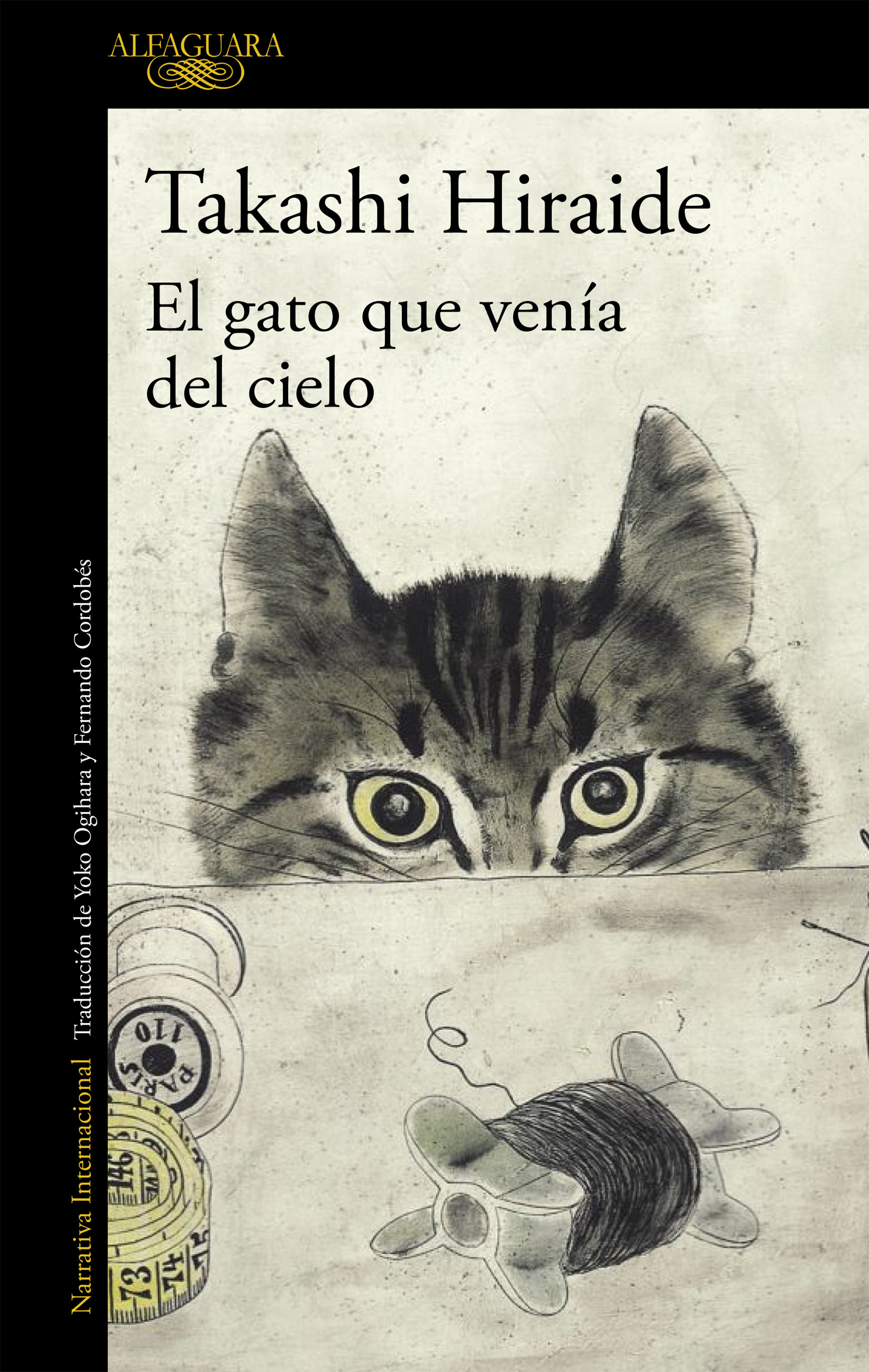 EL GATO QUE VENÍA DEL CIELO.