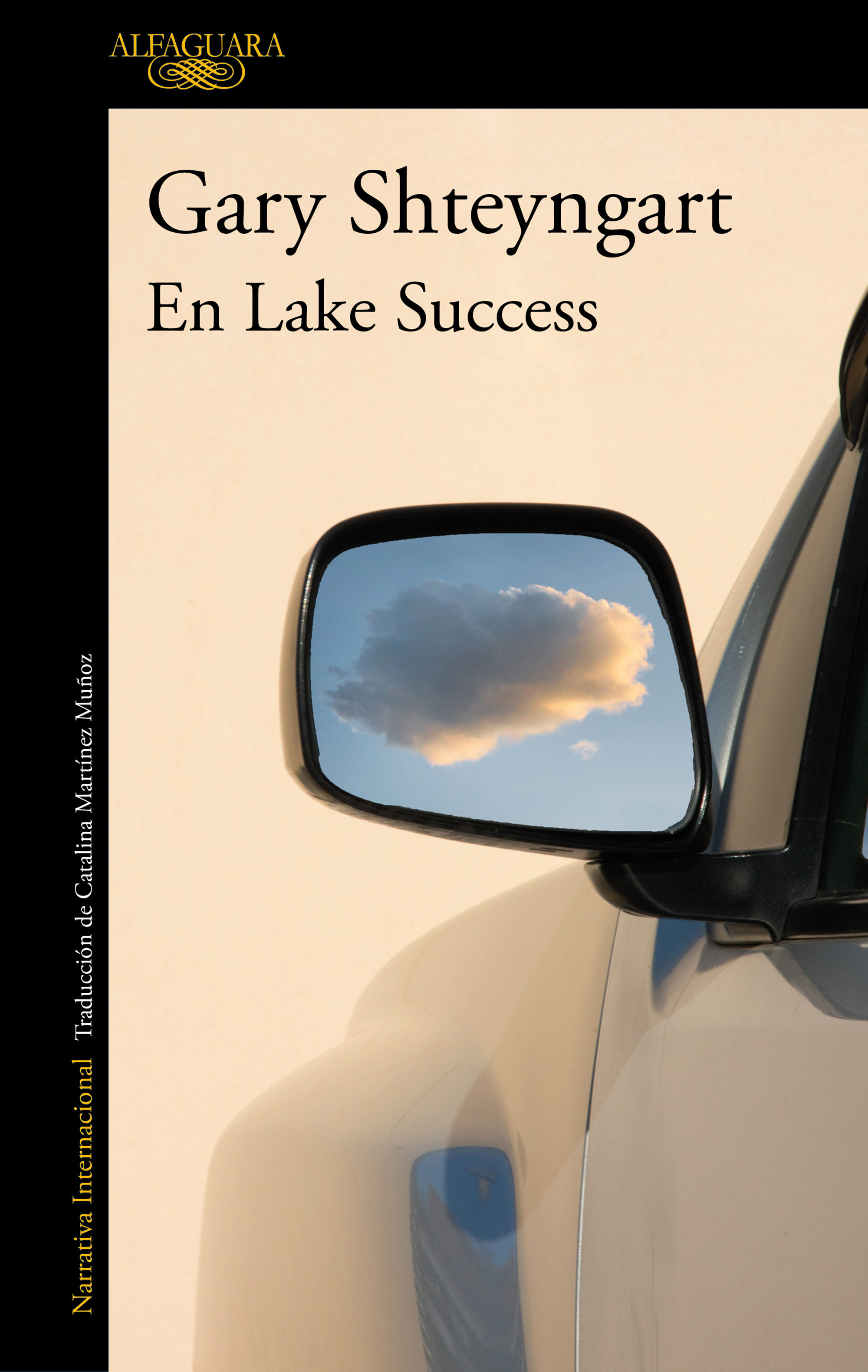 EN LAKE SUCCESS. 