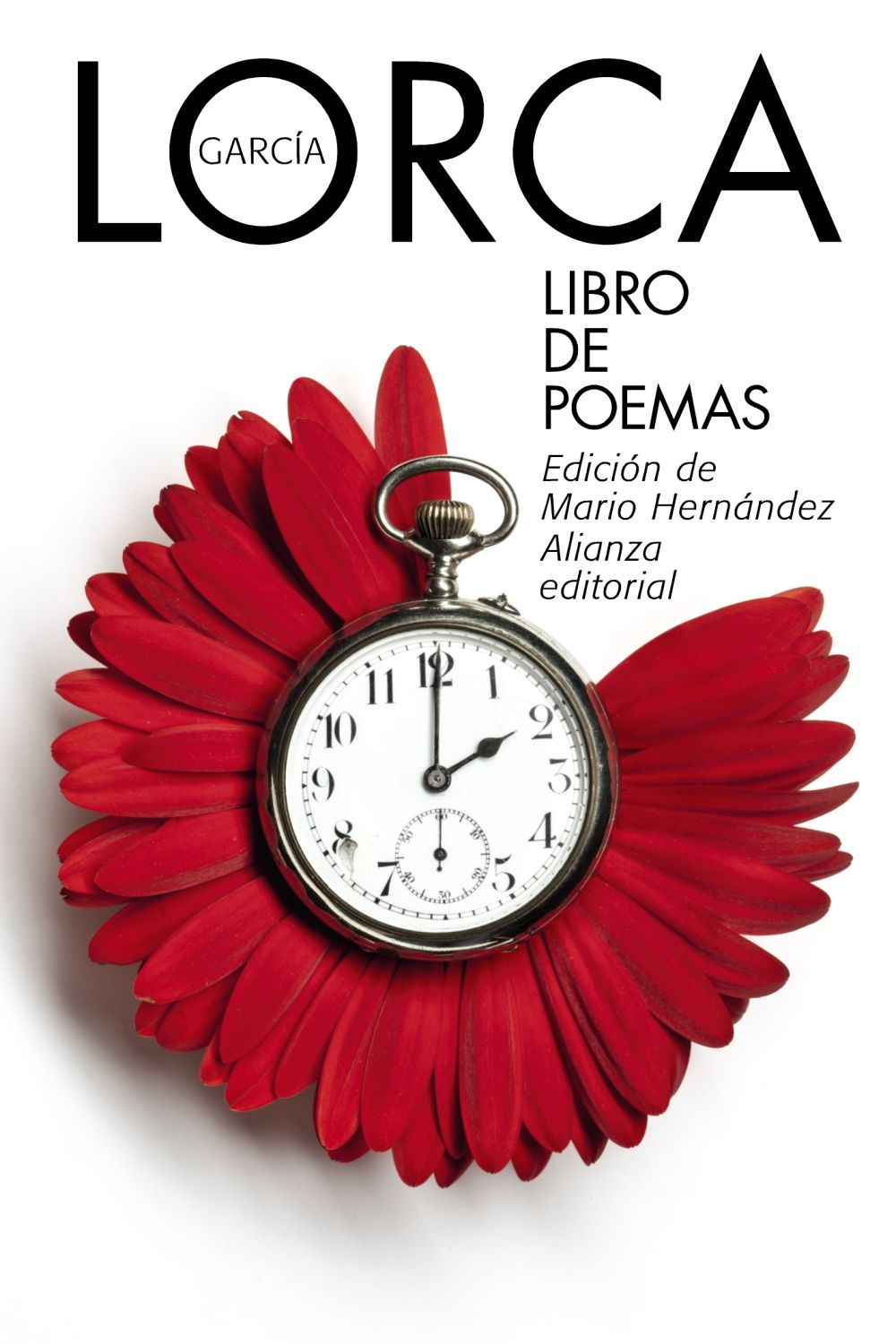 LIBRO DE POEMAS. 