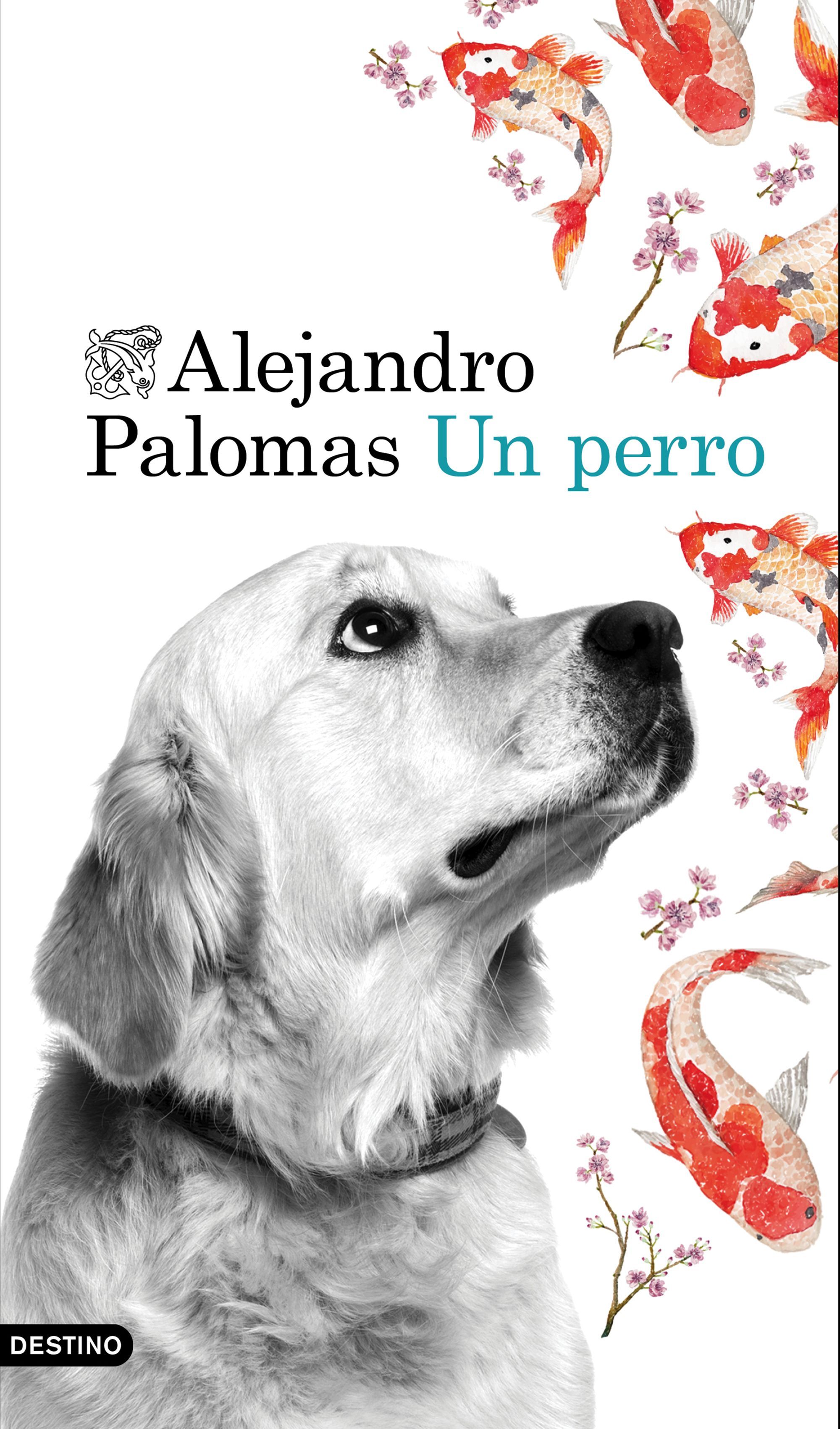 UN PERRO.