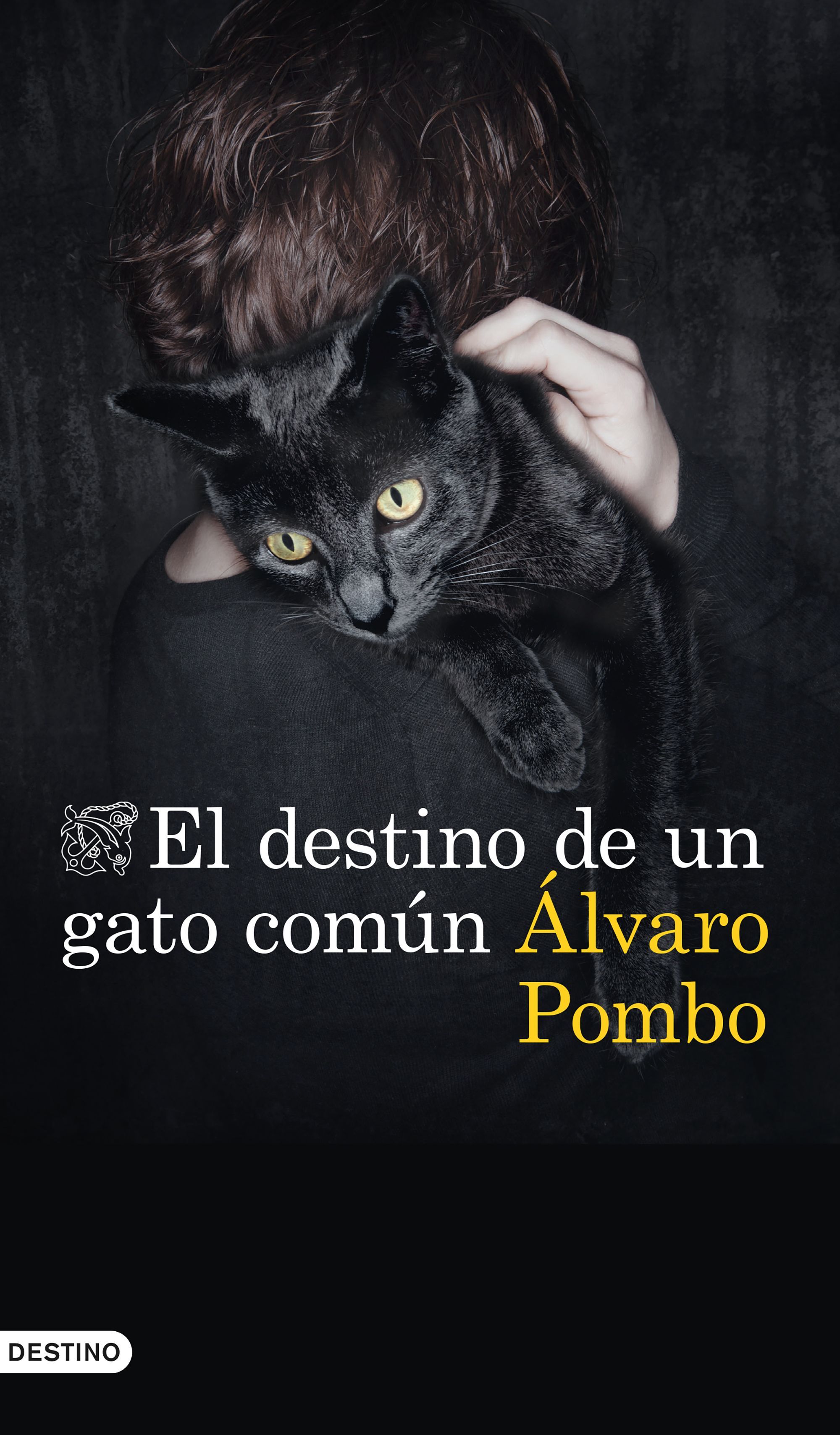 EL DESTINO DE UN GATO COMÚN. 