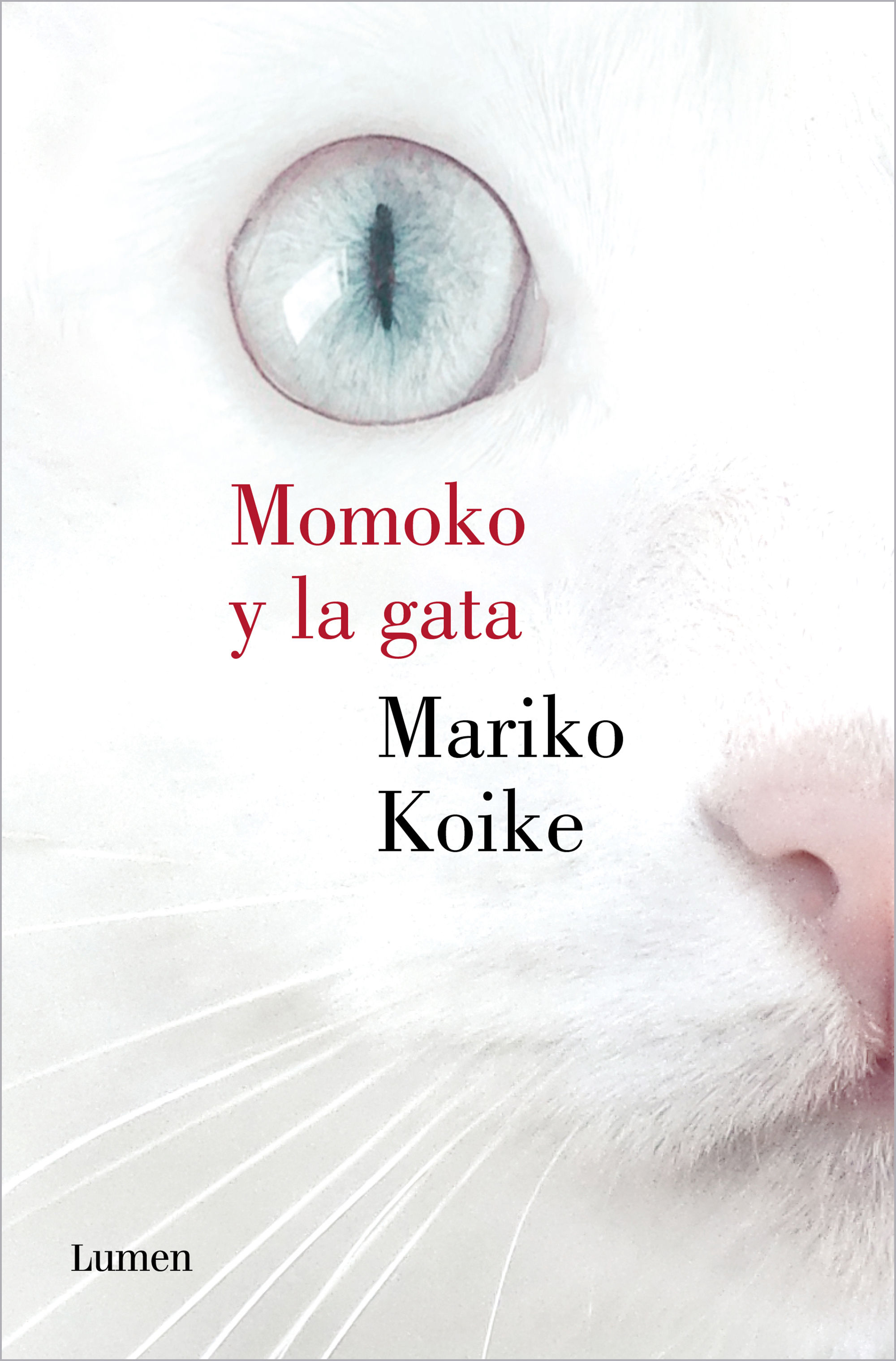 MOMOKO Y LA GATA. 