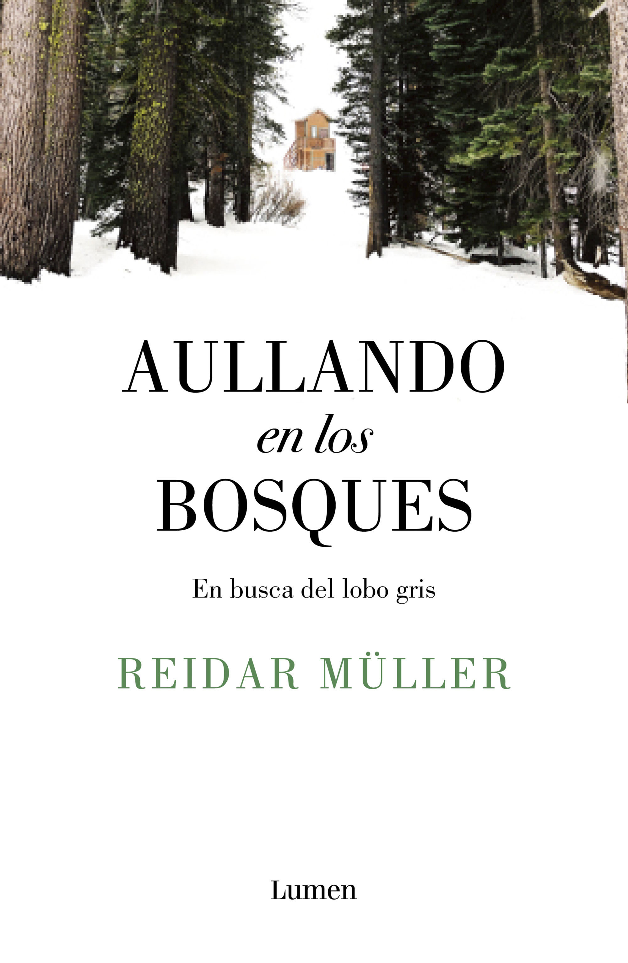 AULLANDO EN LOS BOSQUES. EN BUSCA DEL LOBO GRIS