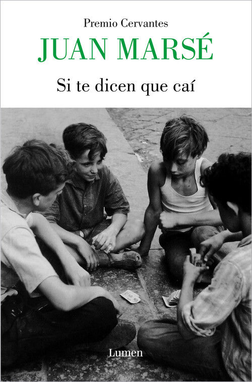 SI TE DICEN QUE CAÍ.
