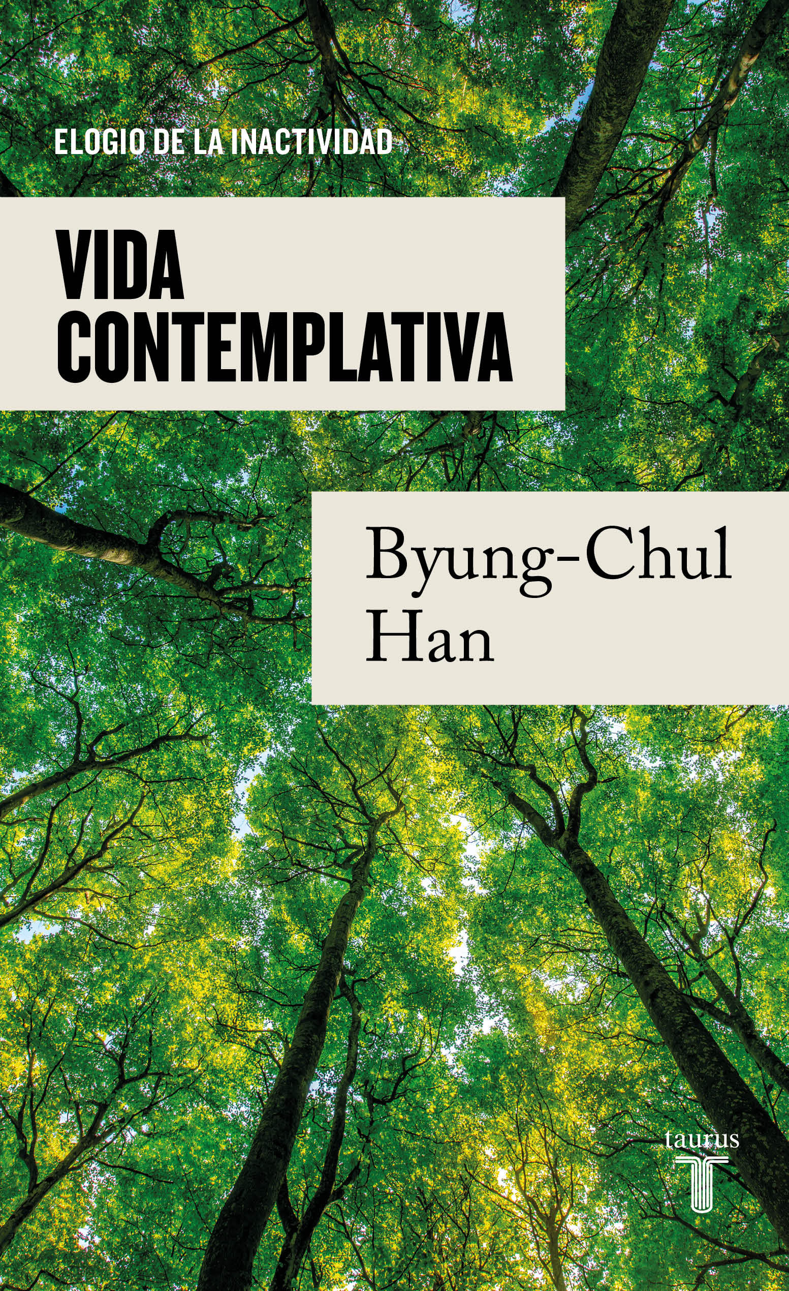 VIDA CONTEMPLATIVA