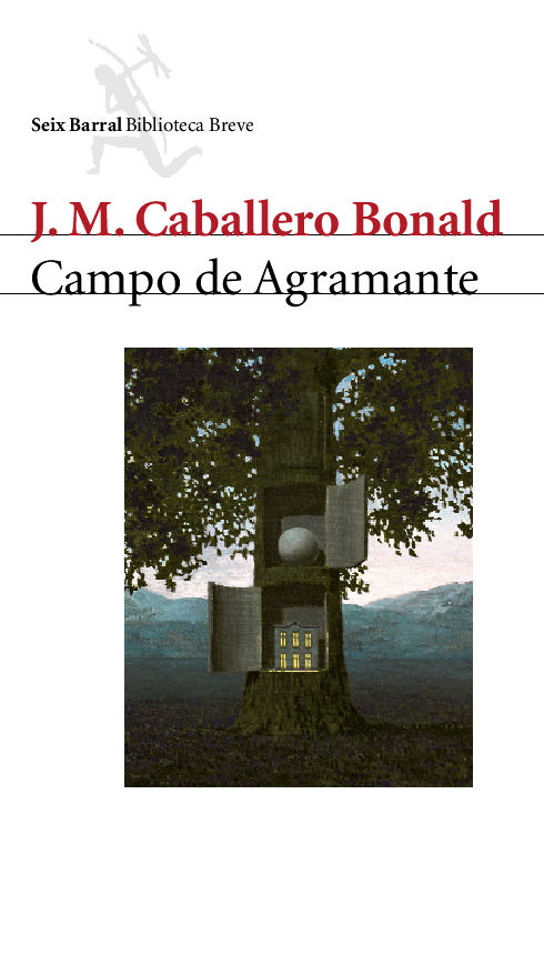 CAMPO DE AGRAMANTE