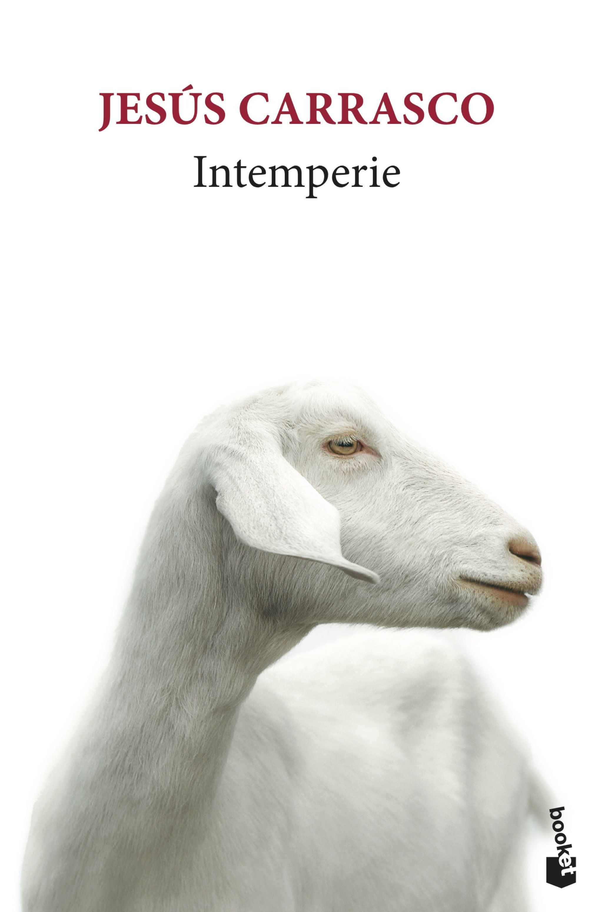 INTEMPERIE. 