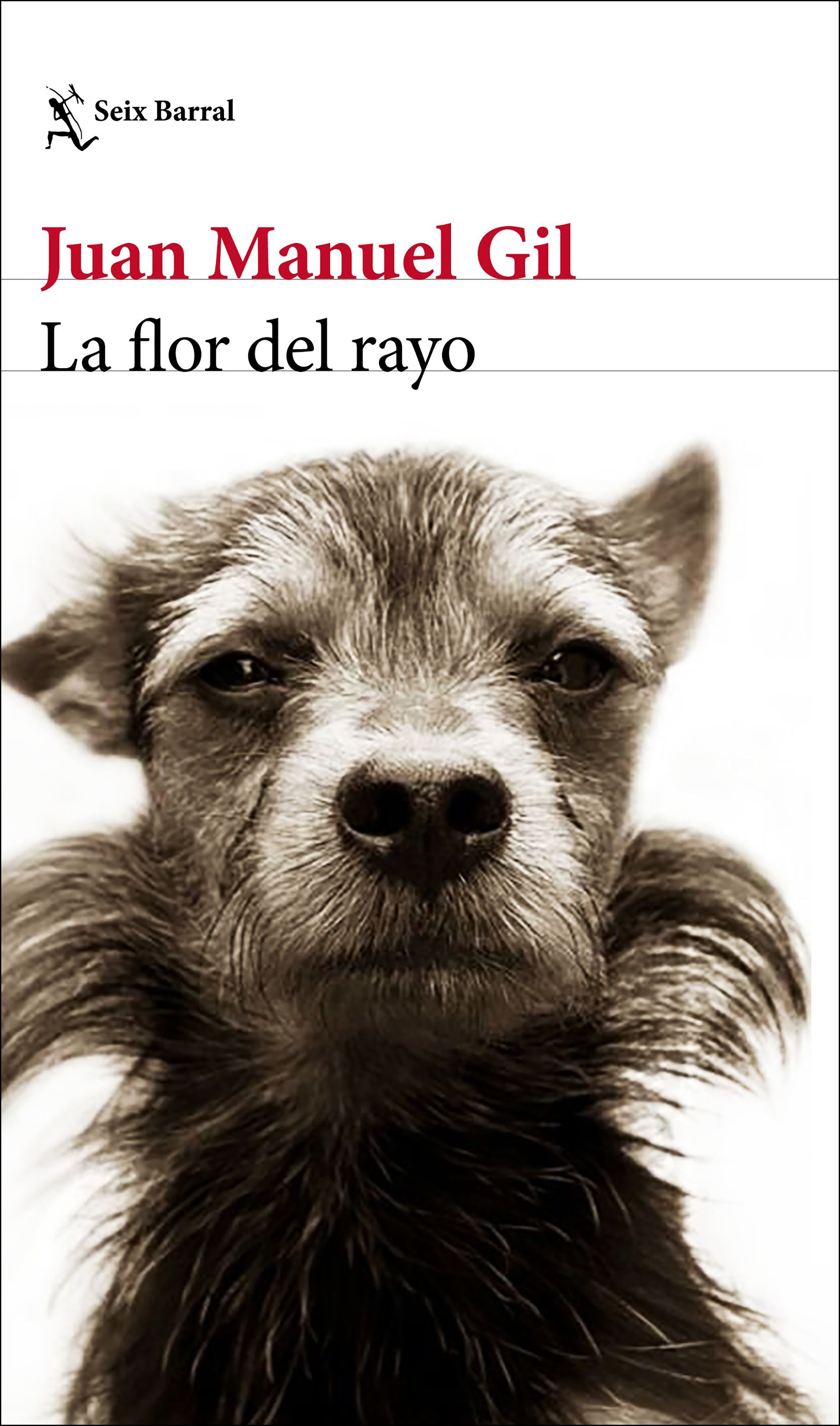 LA FLOR DEL RAYO. 