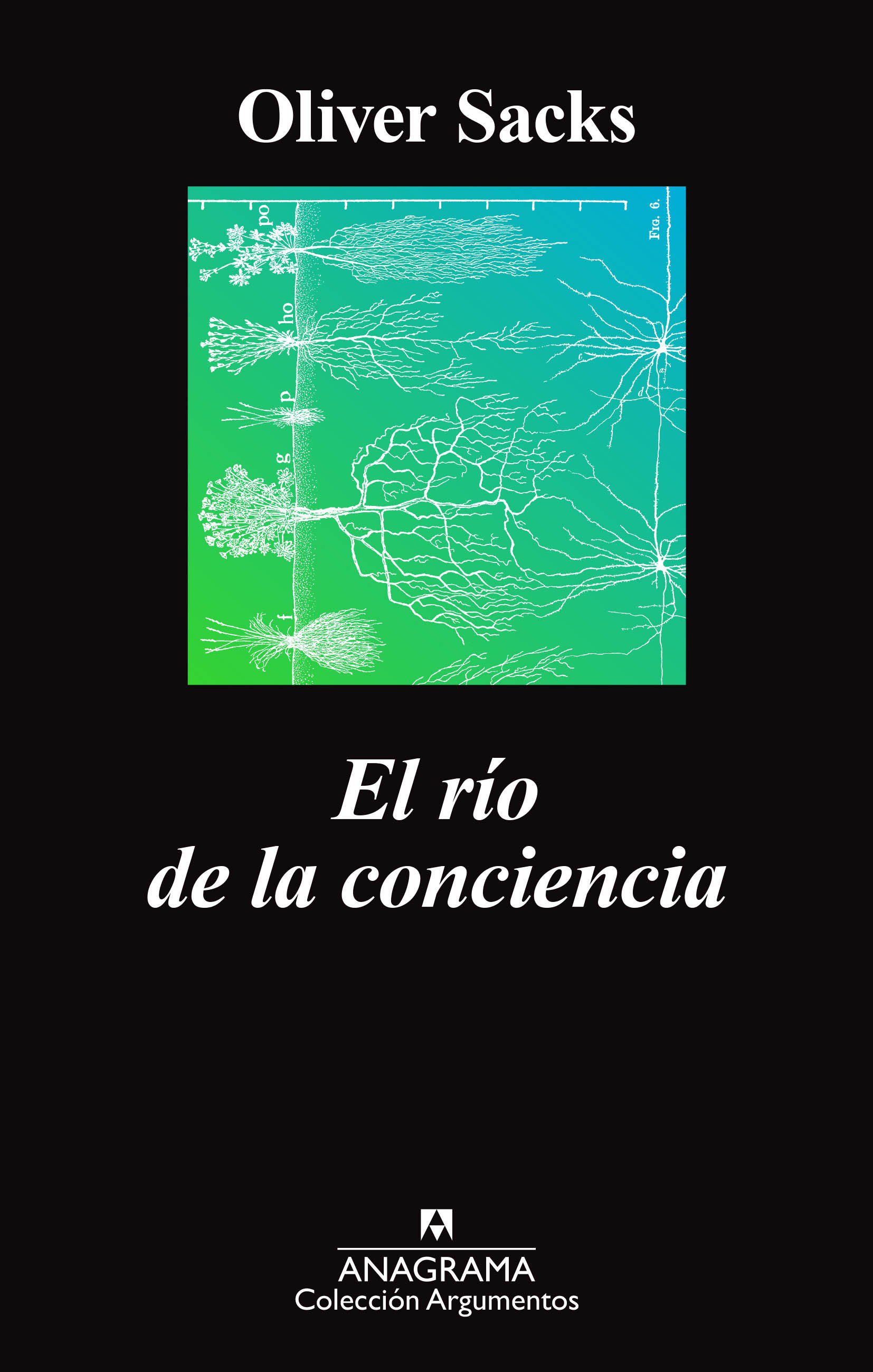 EL RÍO DE LA CONCIENCIA. 