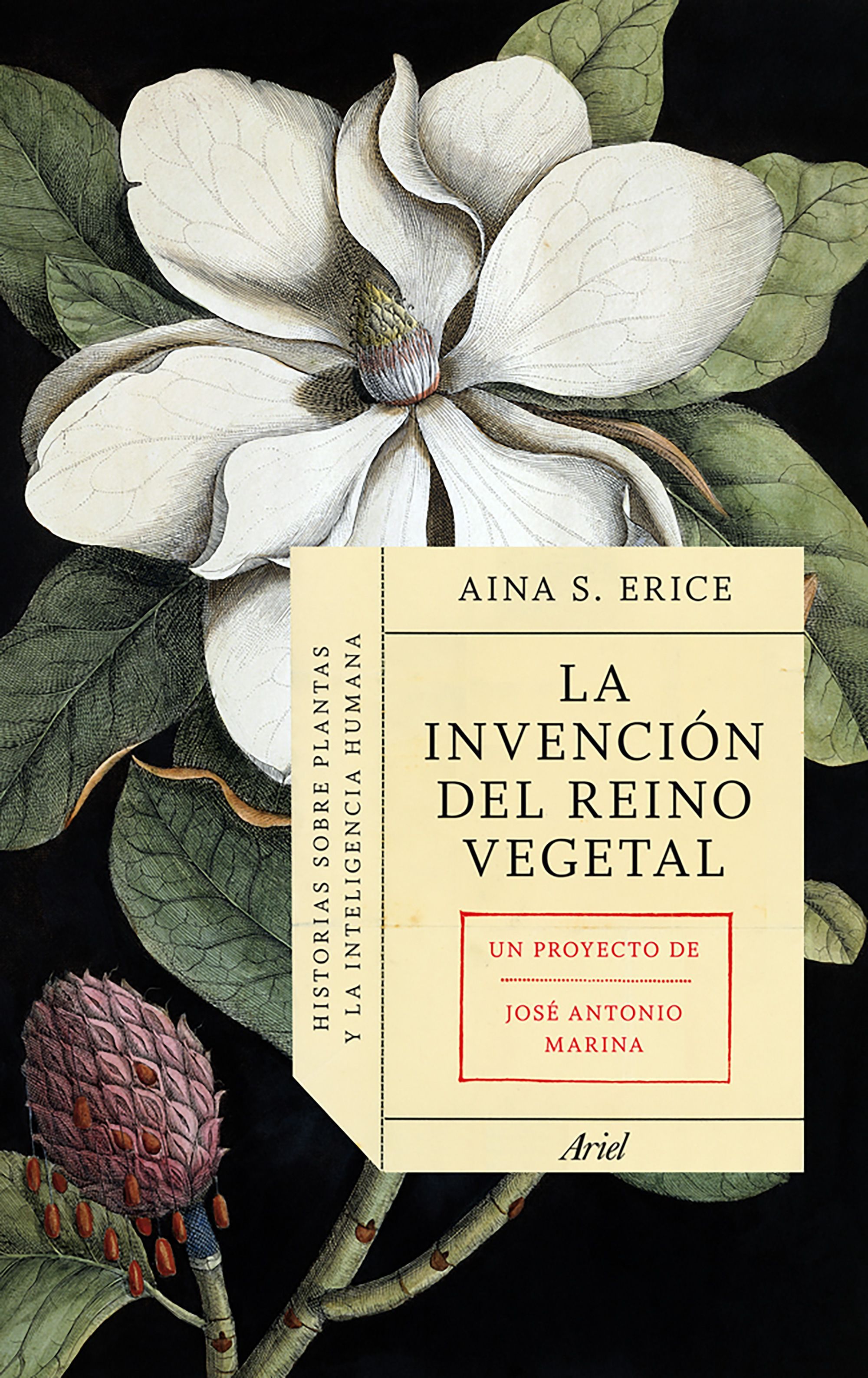 LA INVENCIÓN DEL REINO VEGETAL. 