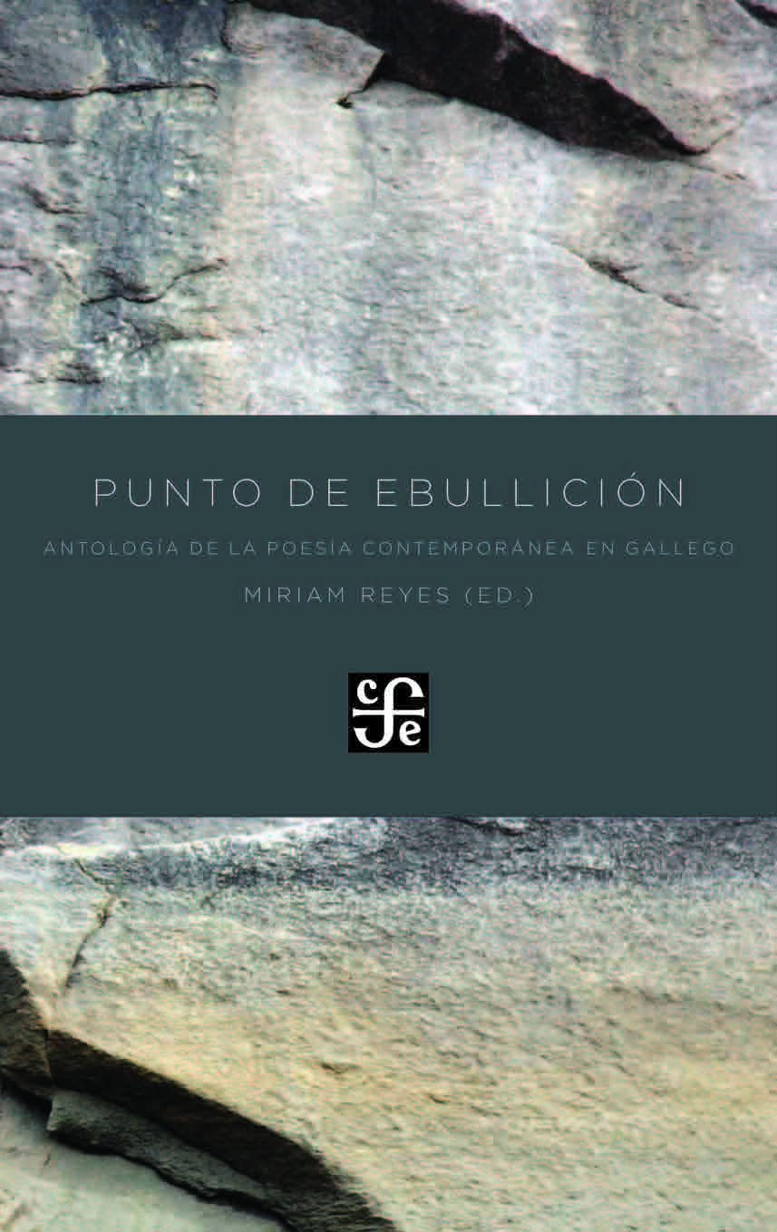 PUNTO DE EBULLICIÓN. ANTOLOGÍA DE LA POESÍA CONTEMPORÁNEA EN GALLEGO