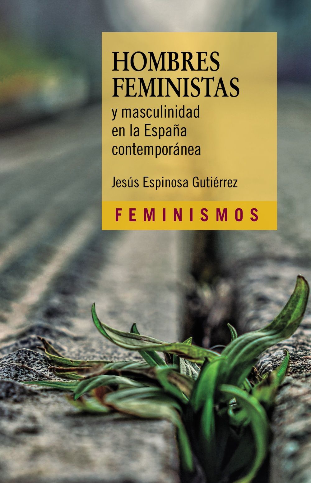 HOMBRES FEMINISTAS Y MASCULINIDAD EN LA ESPAÑA CONTEMPORÁNEA. 