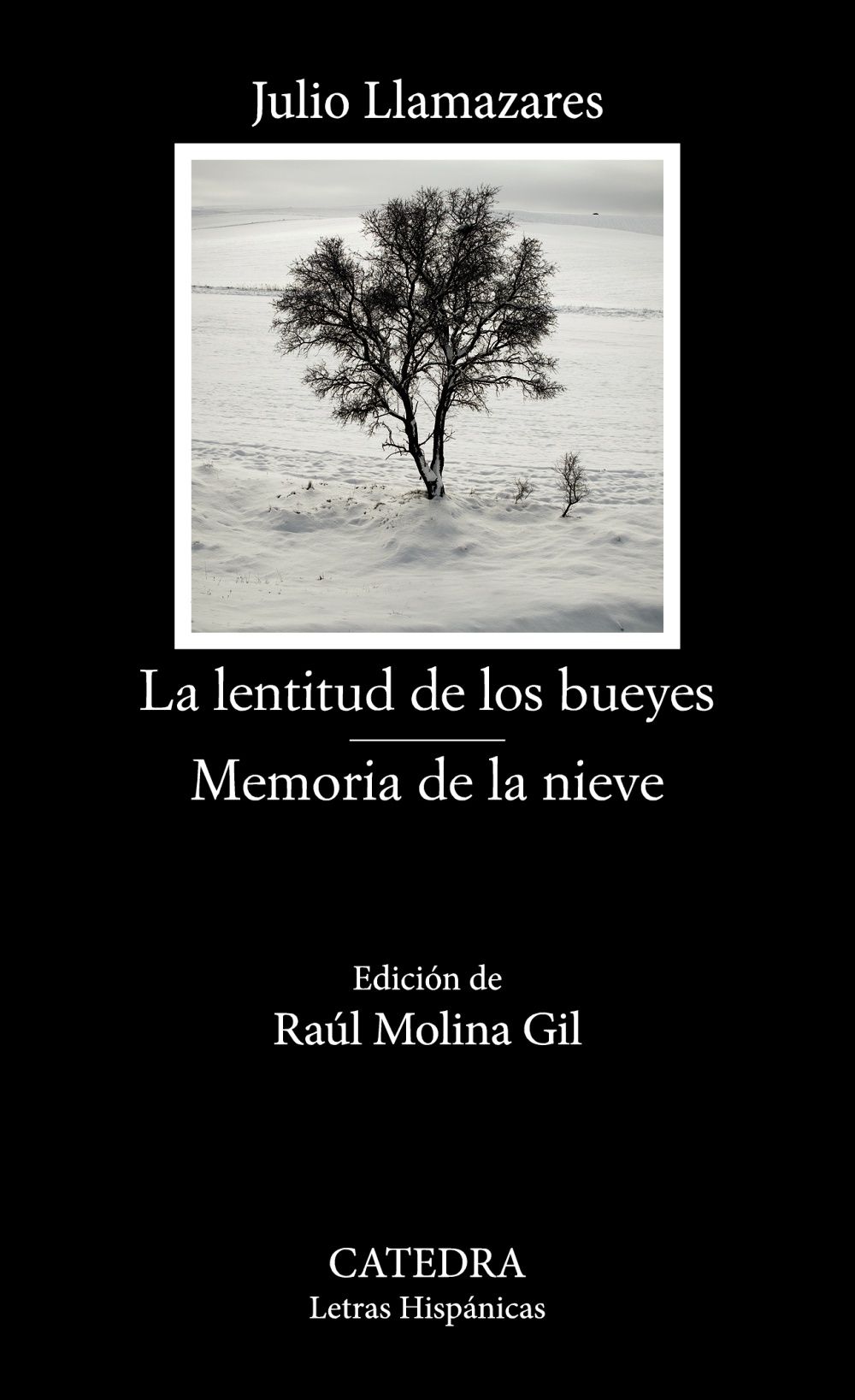 LA LENTITUD DE LOS BUEYES; MEMORIA DE LA NIEVE