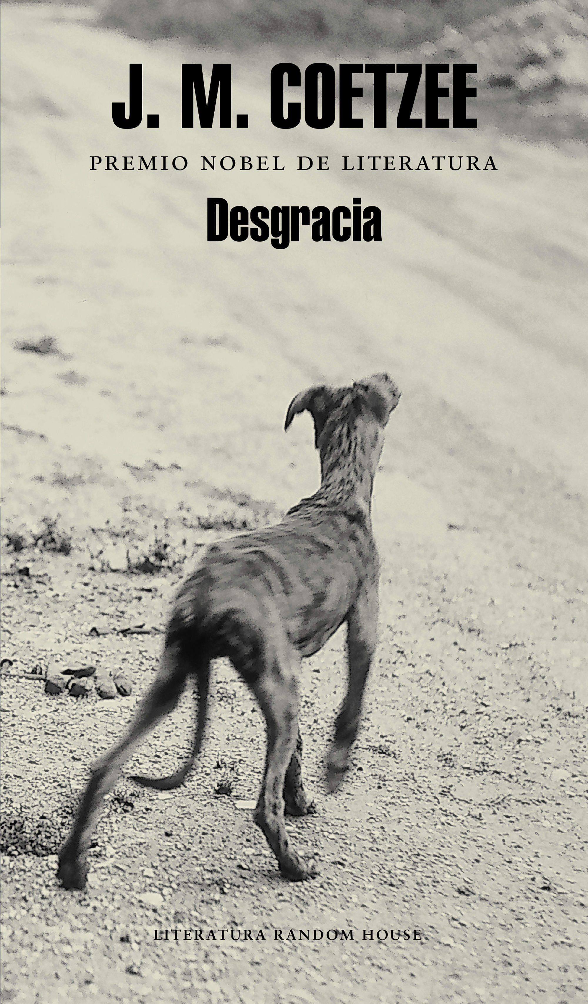 DESGRACIA. 