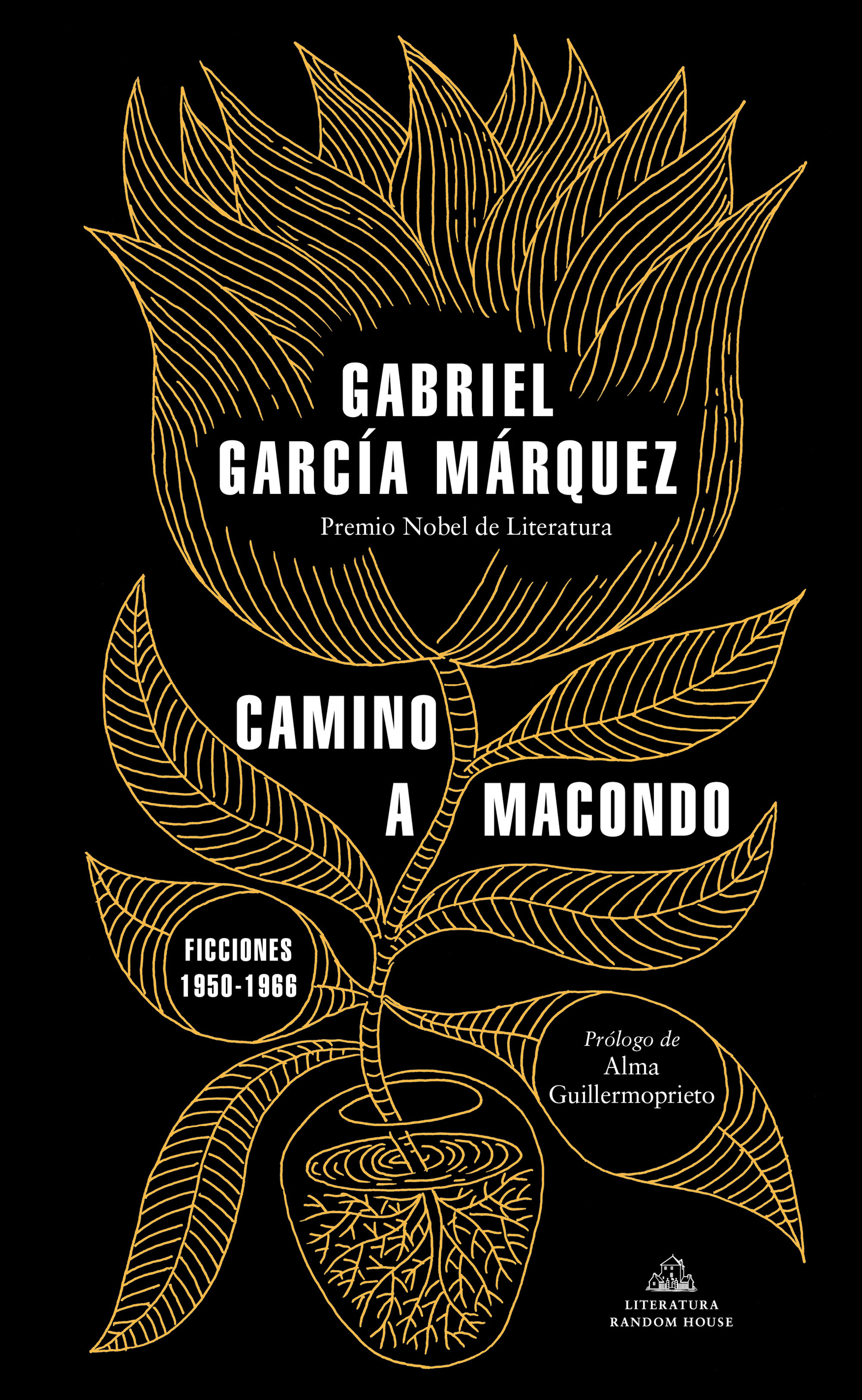 CAMINO A MACONDO.