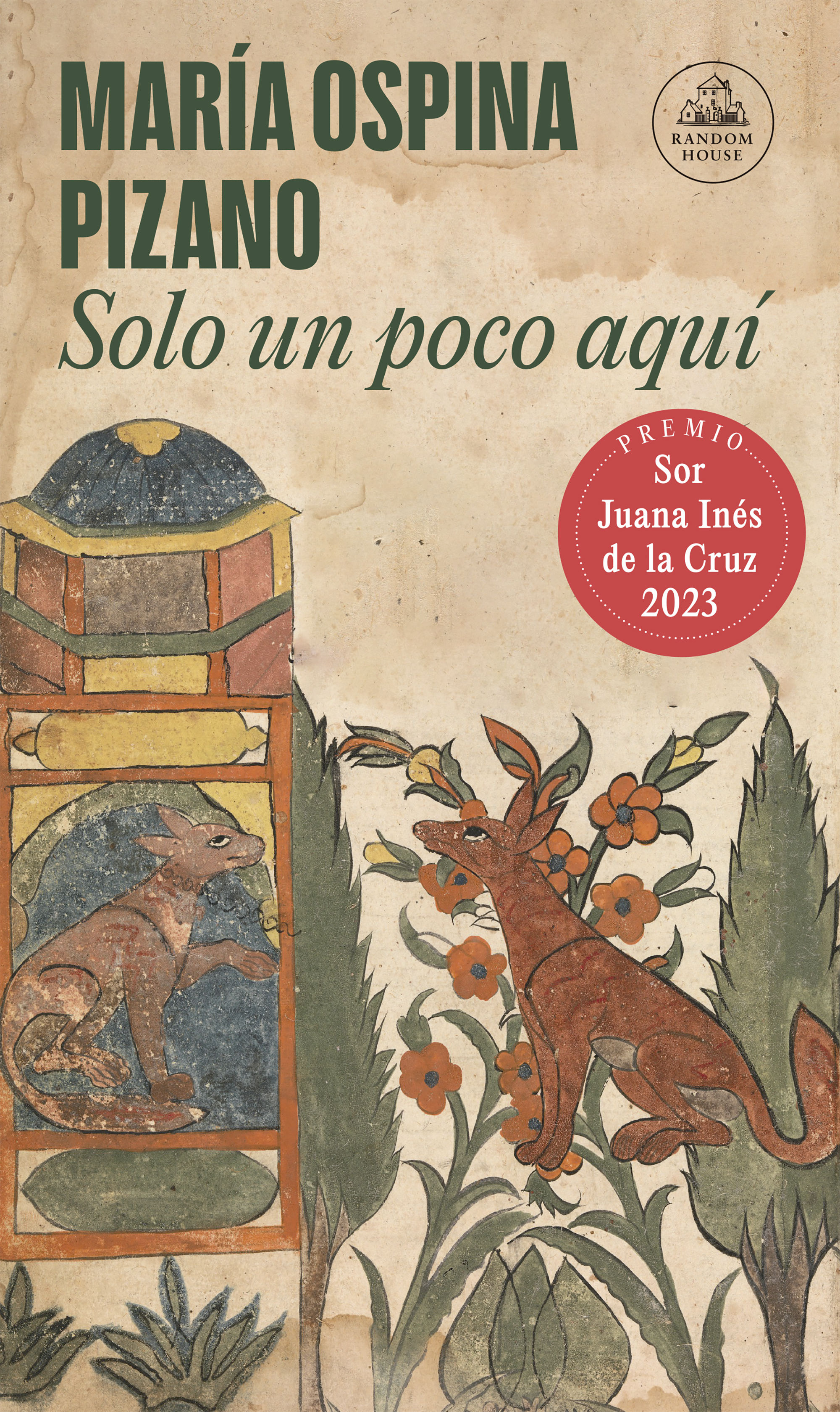 SOLO UN POCO AQUÍ.