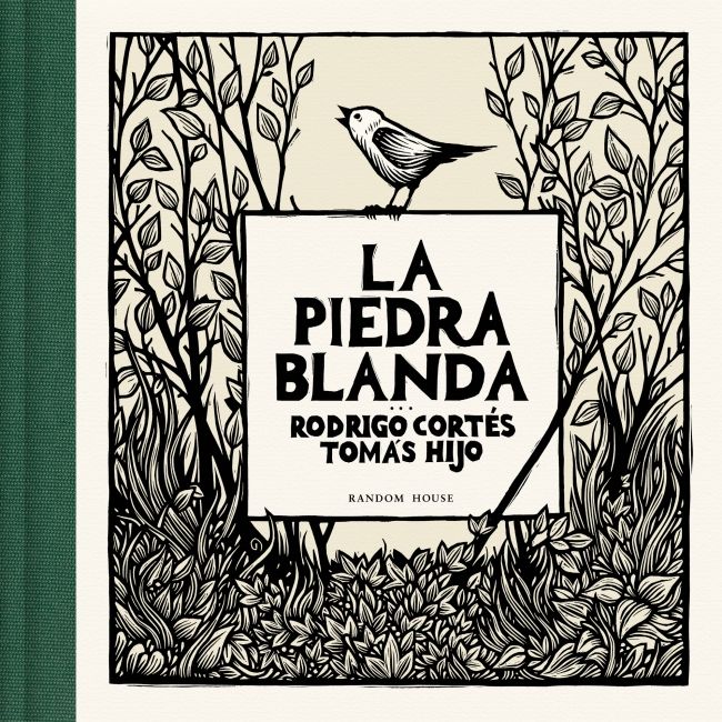 LA PIEDRA BLANDA